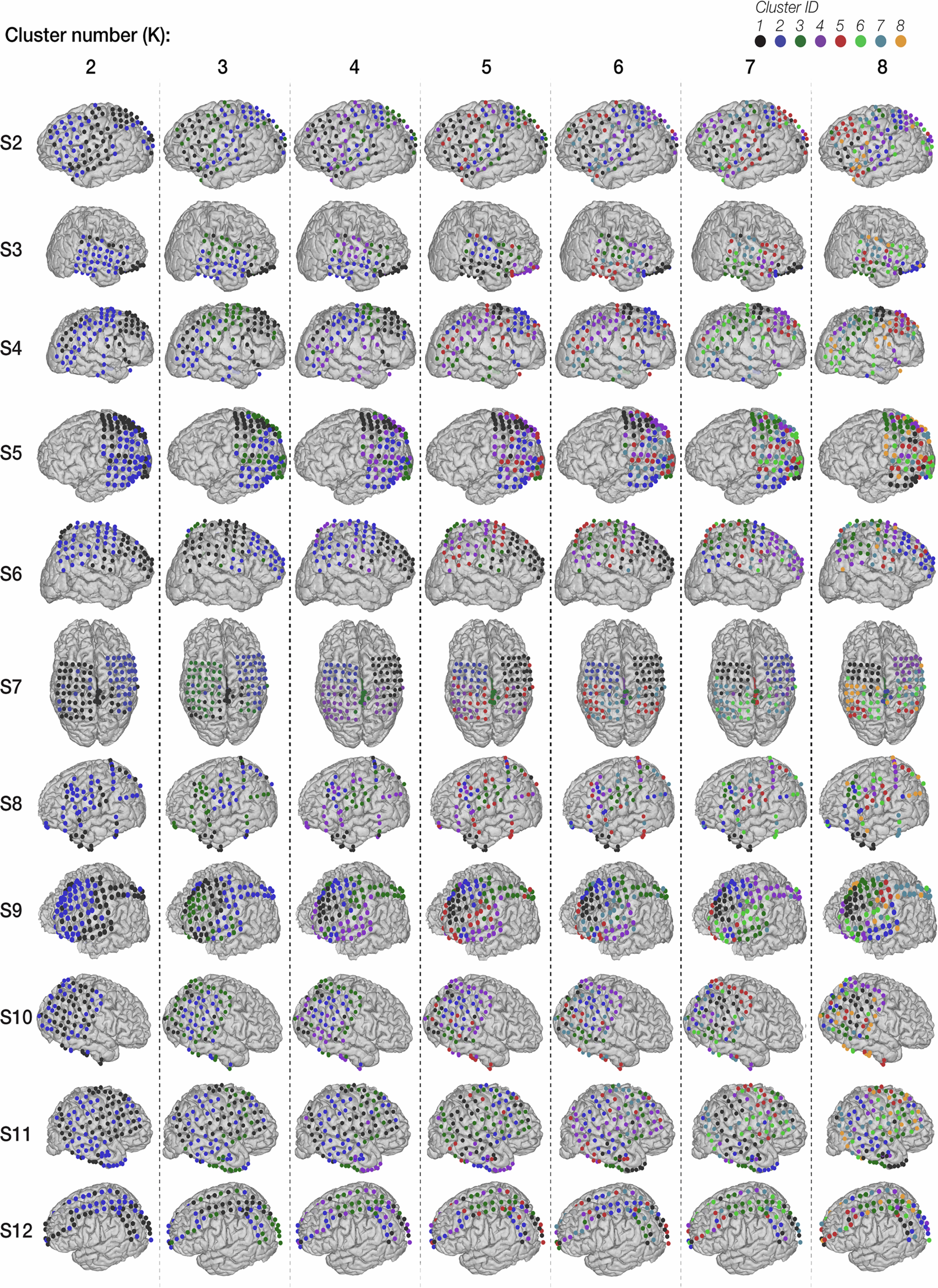 Extended Data Fig. 5: Organization of clusters based on cluster numbers.