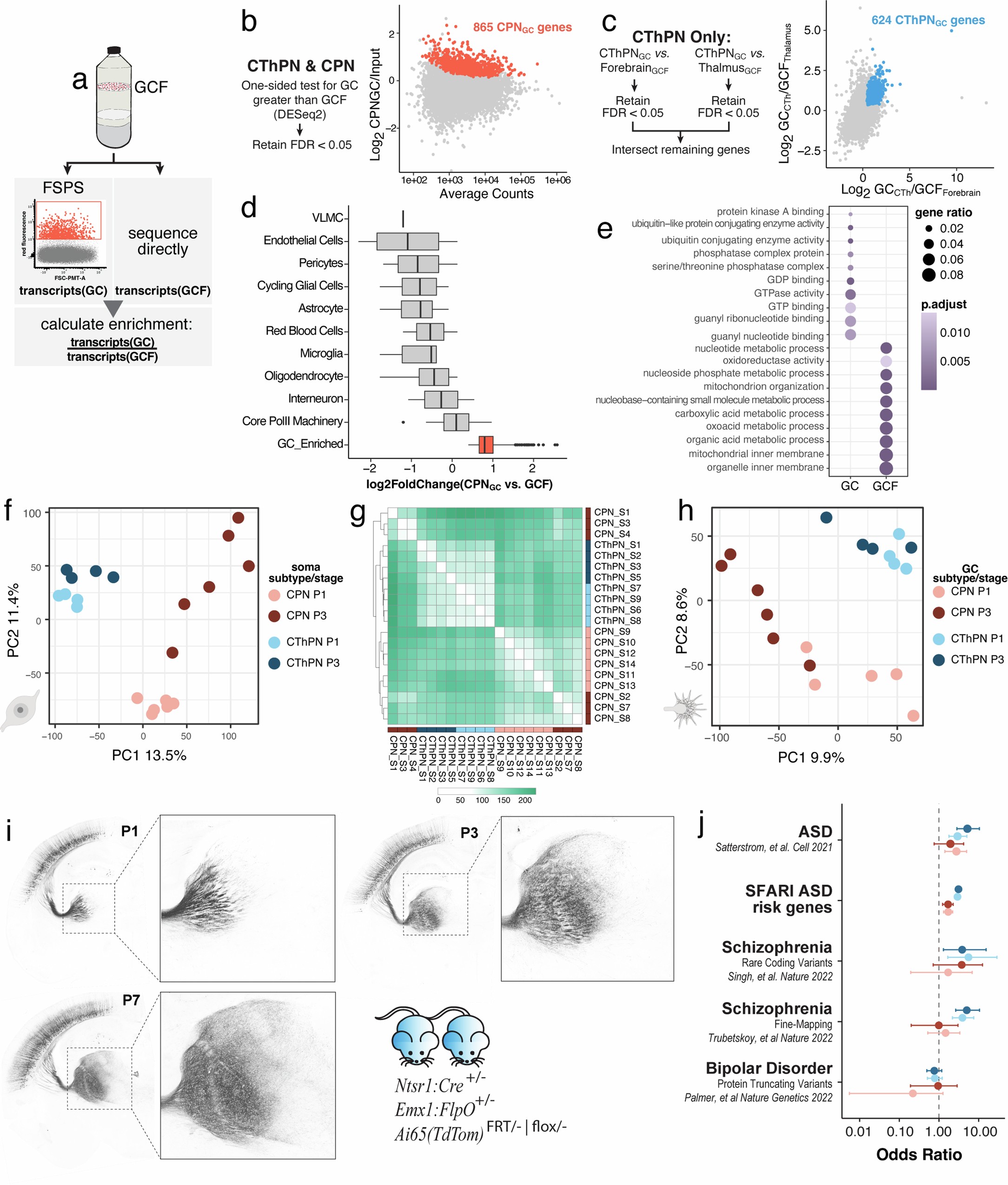 Extended Data Fig. 3: Subcellular RNA correction to minimize effect of potential ambient contamination and developmental stage agnostic analysis.