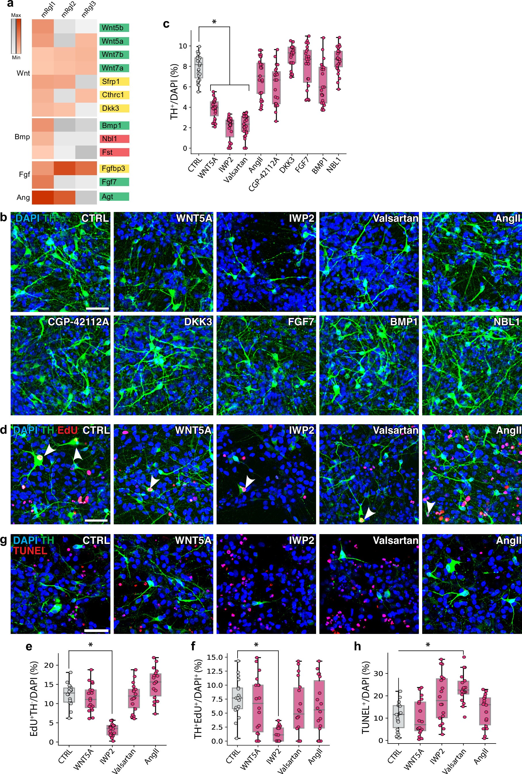Extended Data Fig. 6