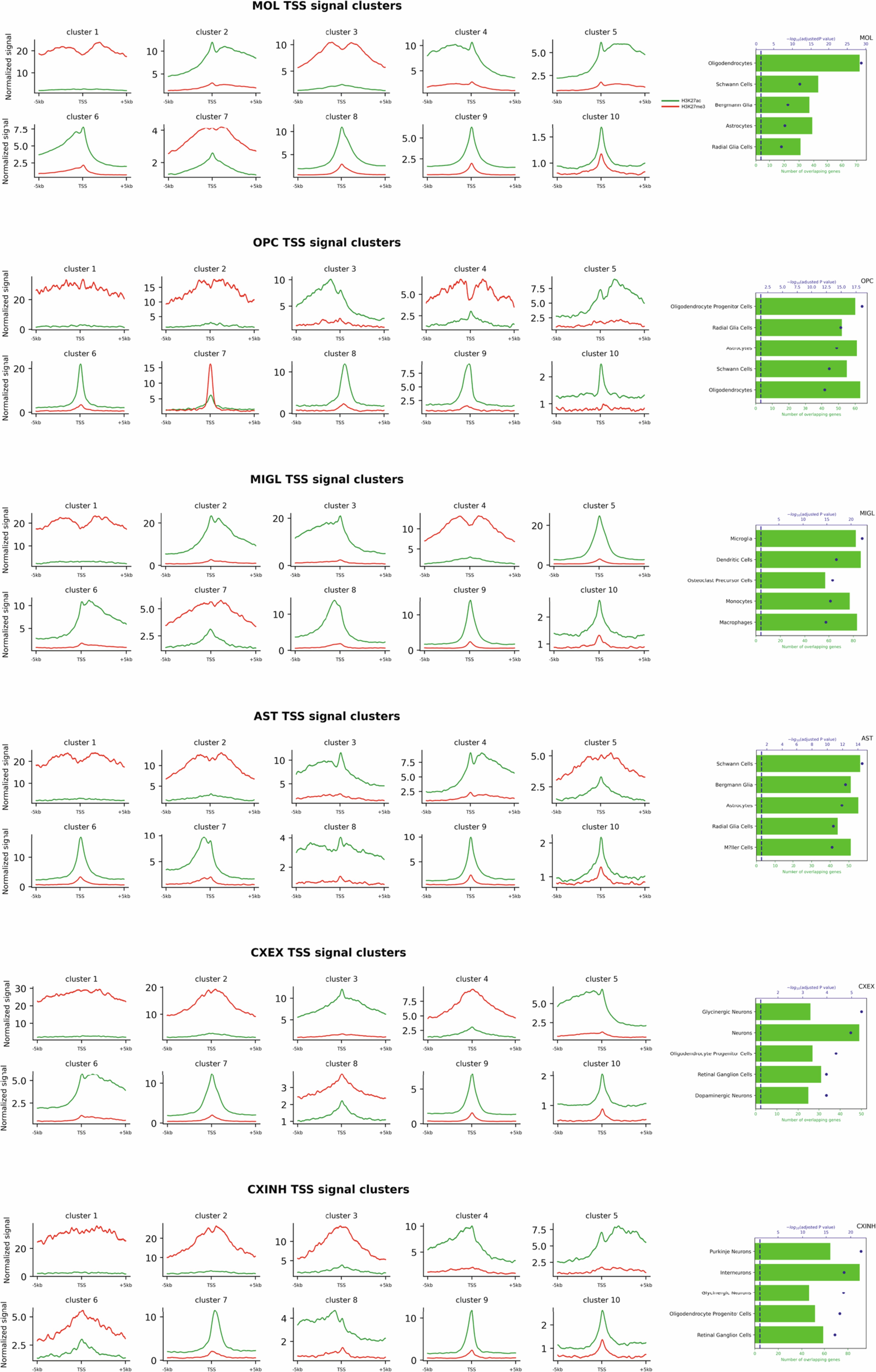 Extended Data Fig. 5: Cell-type-specific enrichment of H3K27ac/H3K27me3 across gene TSS.