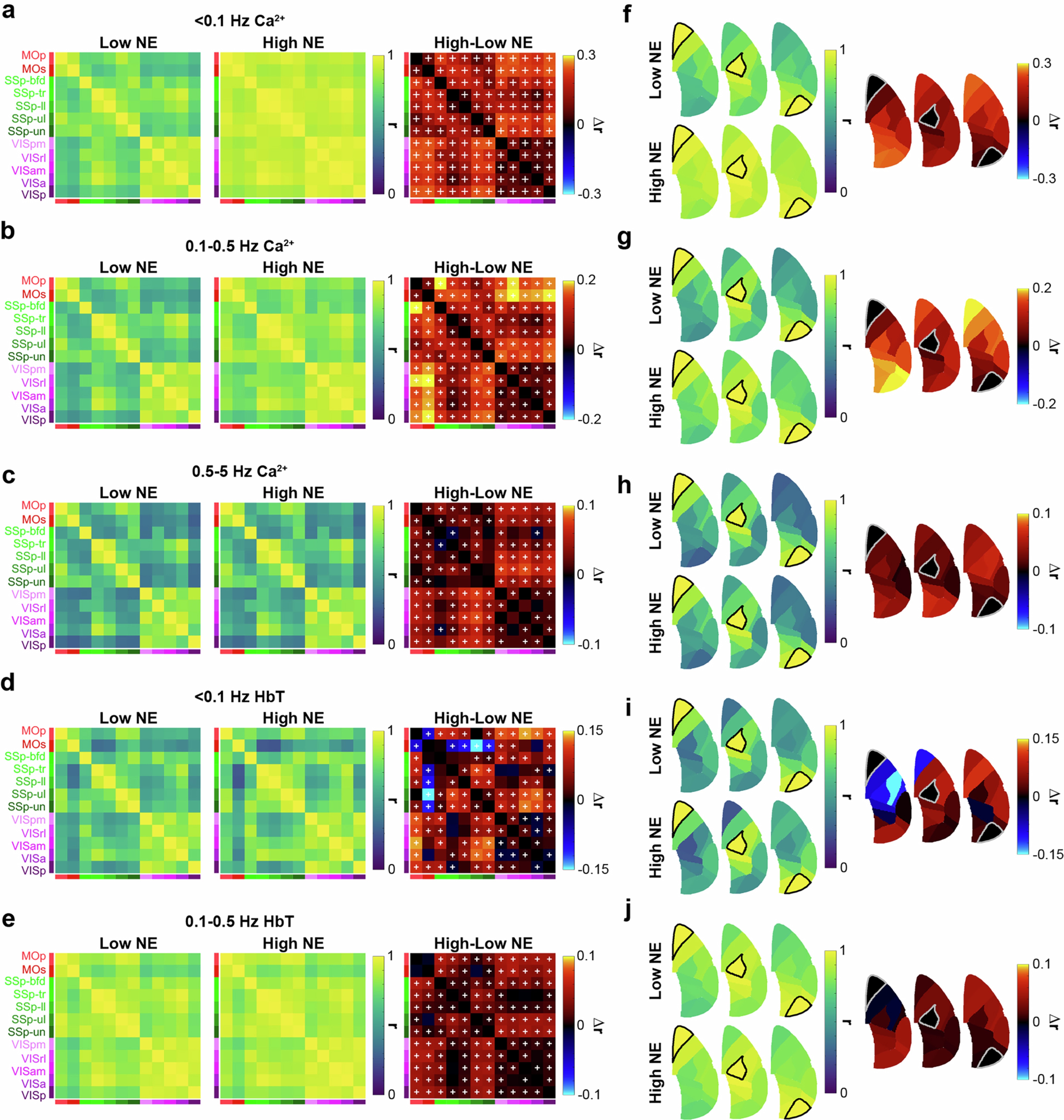 Extended Data Fig. 7: Comparison of FC results for high and low frequency Ca2+ activity and HbT.