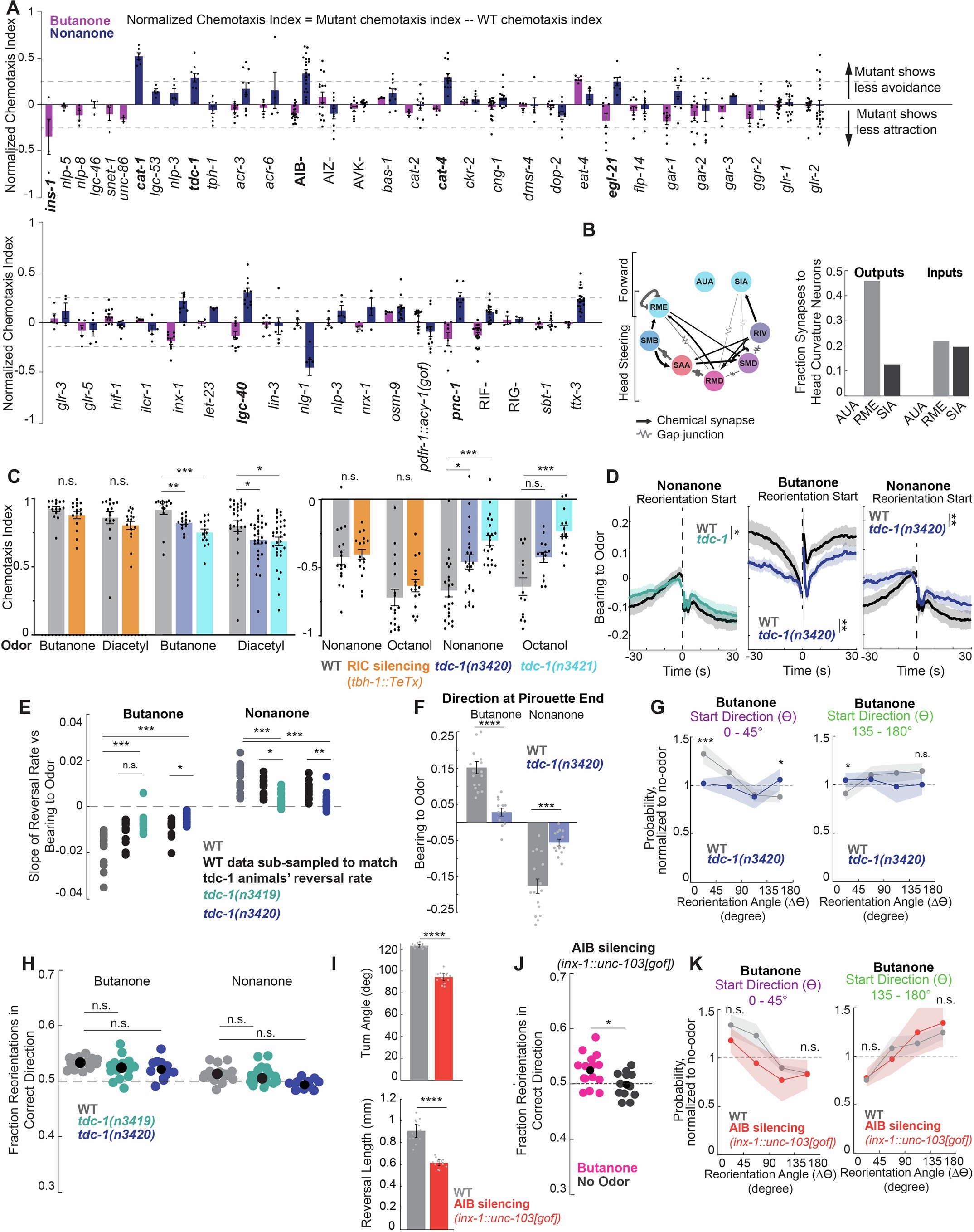 Extended Data Fig. 5: Candidate genetic screen for navigation mutants and additional analyses related to tyramine signaling.
