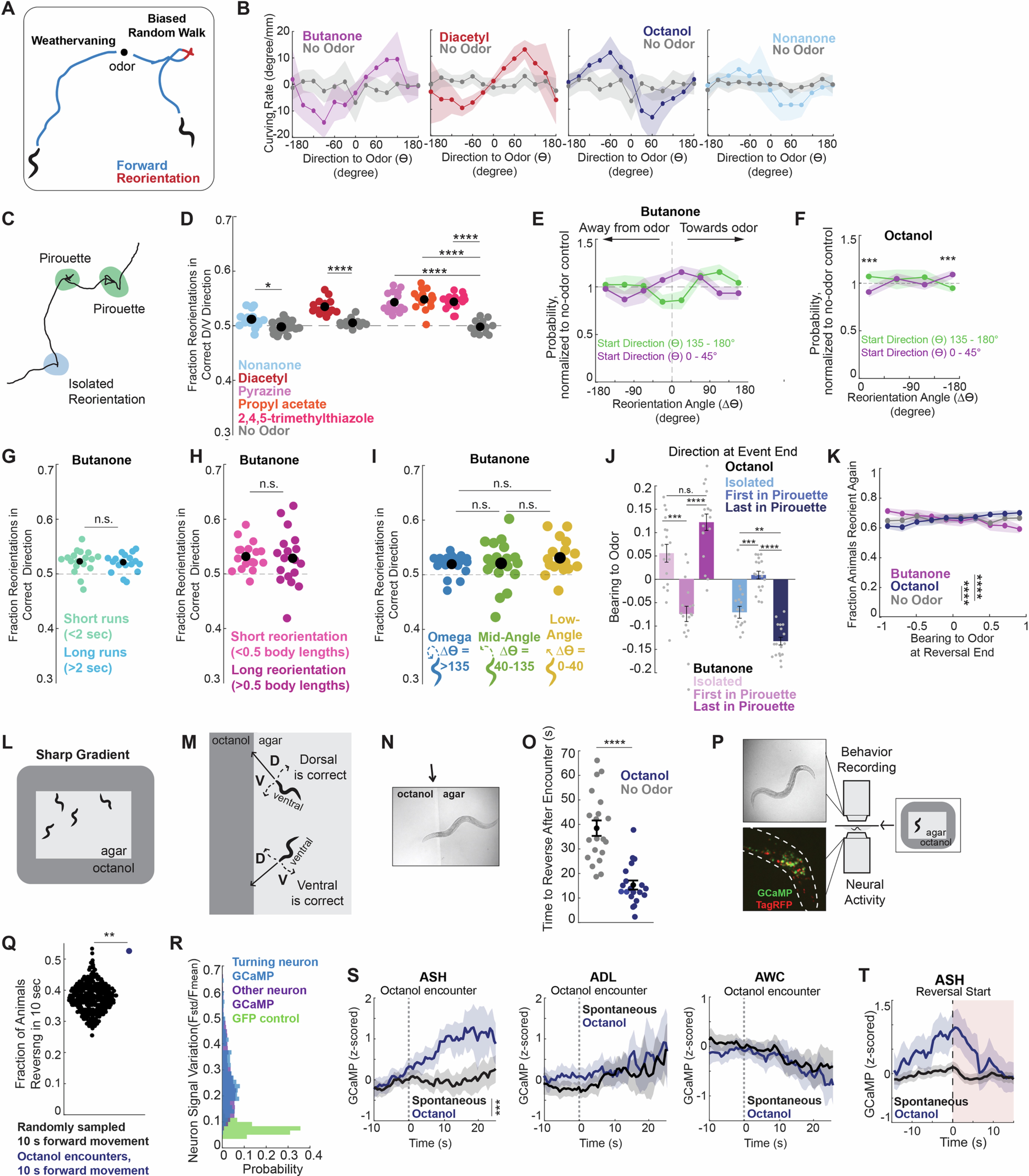 Extended Data Fig. 1: Further analysis of C. elegans olfactory navigation behavior.