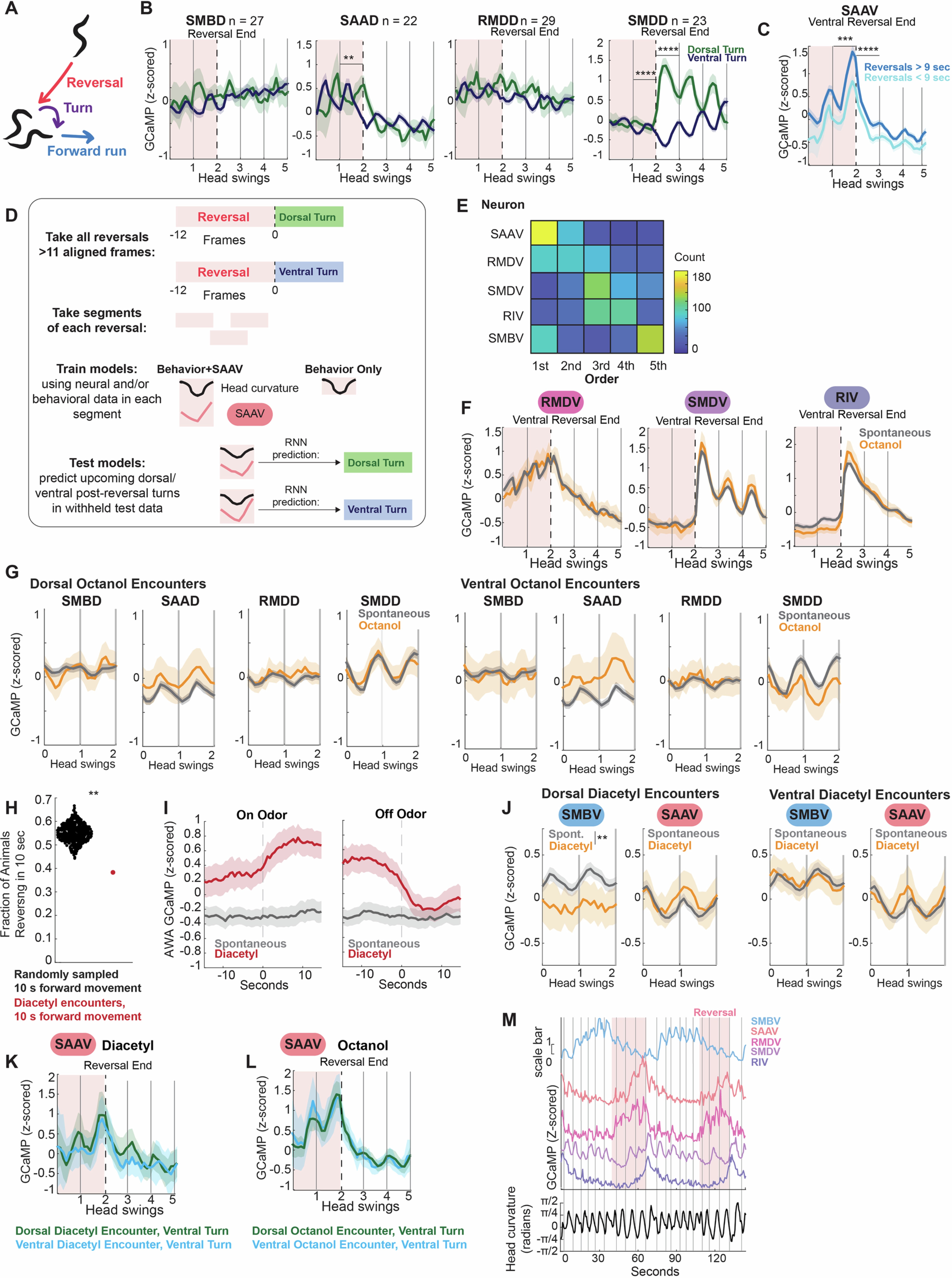 Extended Data Fig. 2: Further analysis of neural circuit dynamics in turning circuit.