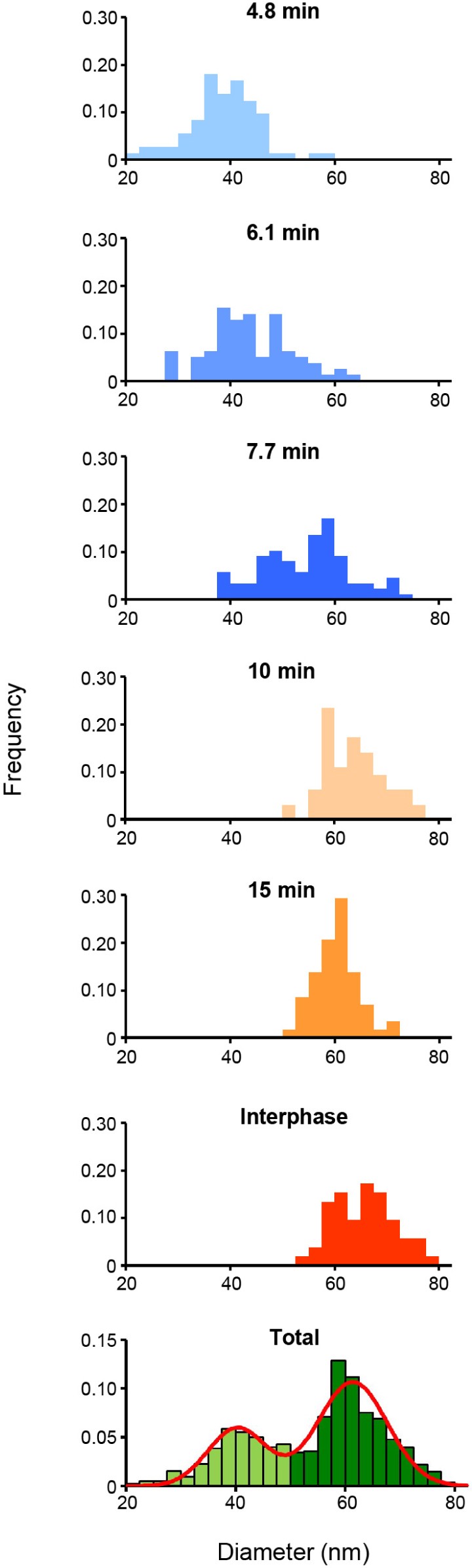 Supplementary Figure 3: Distribution of nuclear pore diameter measured in Fig. 2b.