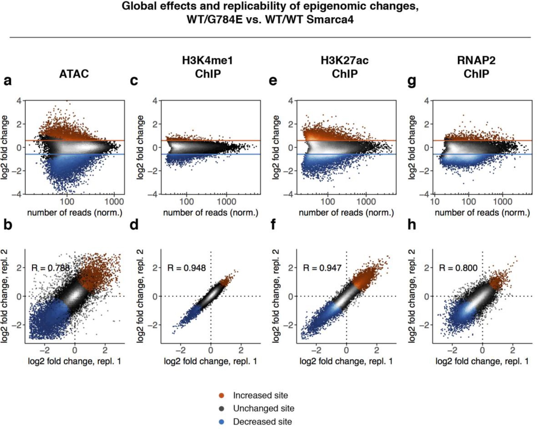 Supplementary Figure 6: Analysis of altered chromatin signals and consistency of results across independent cell-culture replicates.
