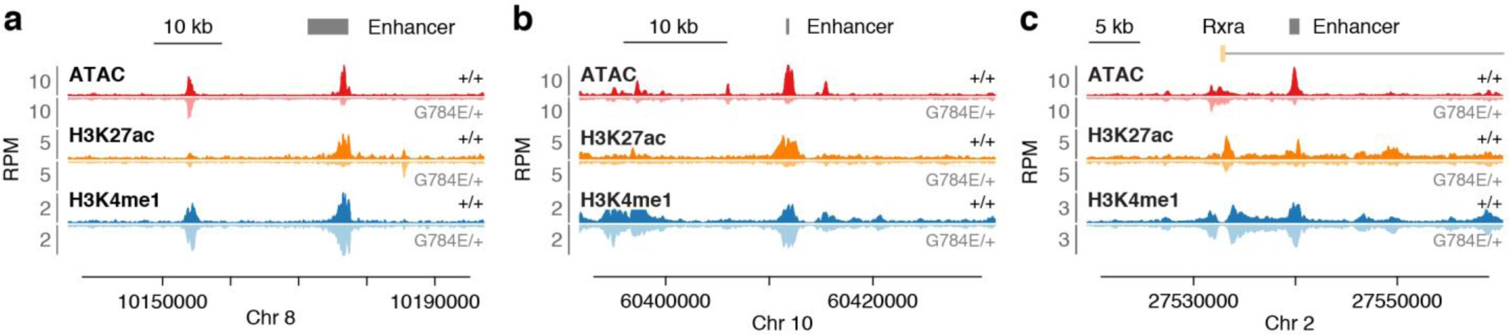 Supplementary Figure 7: Examples of enhancer changes across the genome.