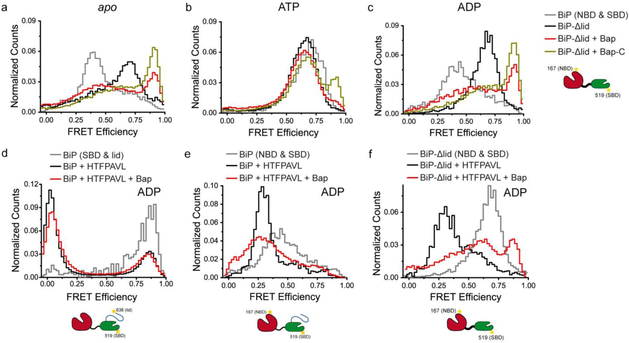 Supplementary Figure 9