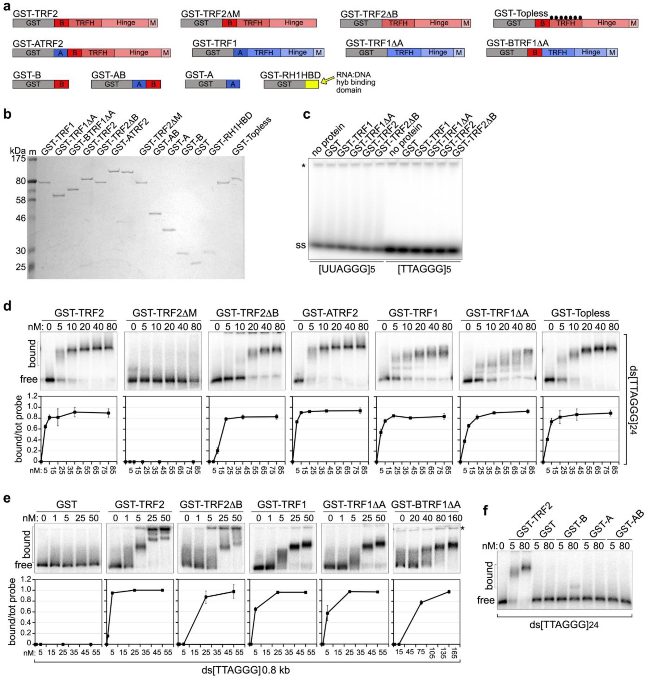Supplementary Figure 2
