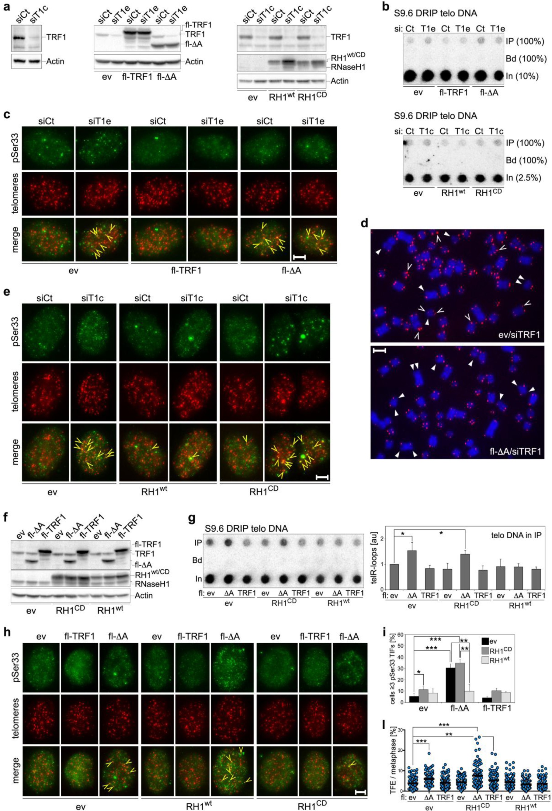 Supplementary Figure 4