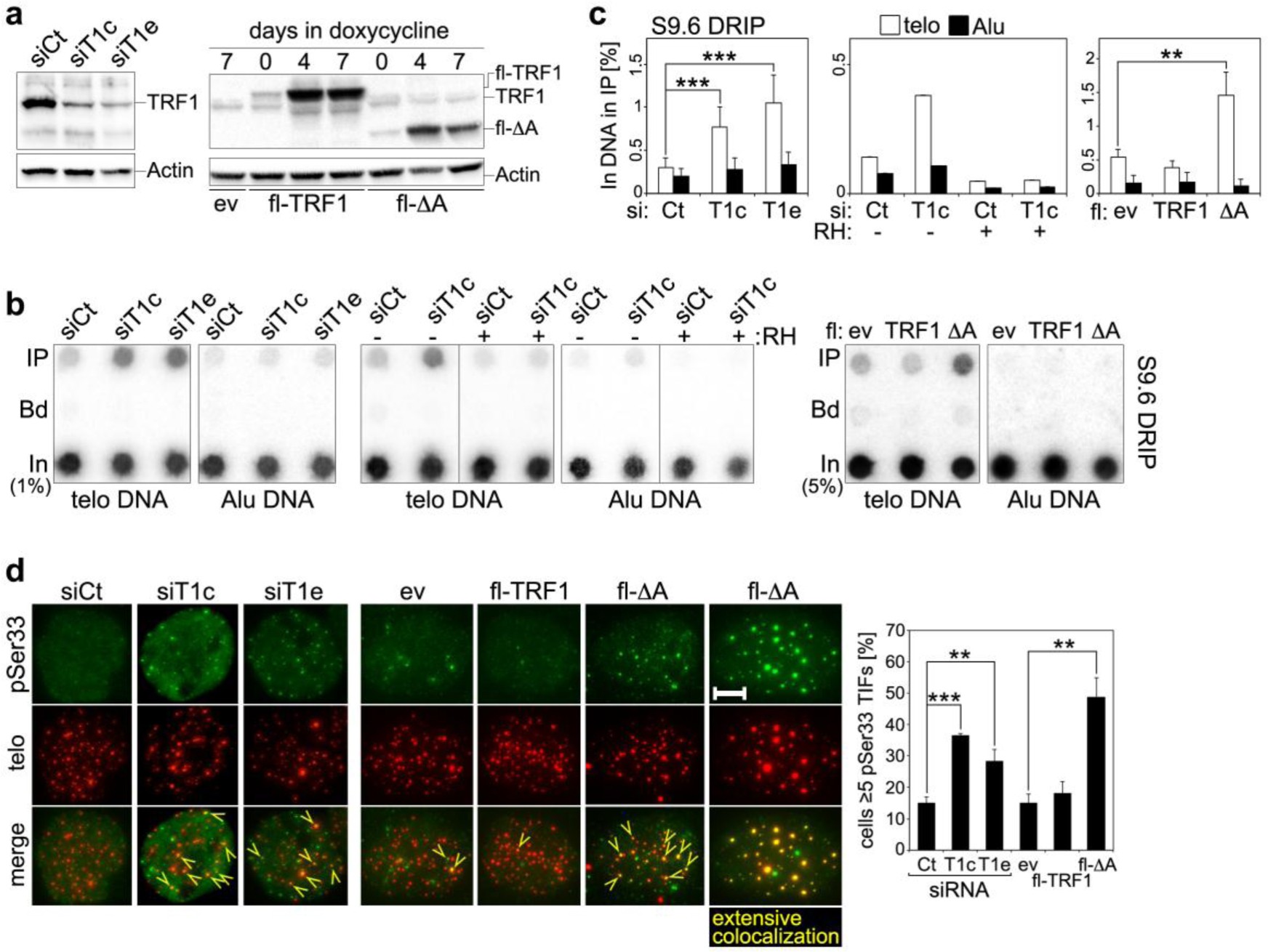 Supplementary Figure 5
