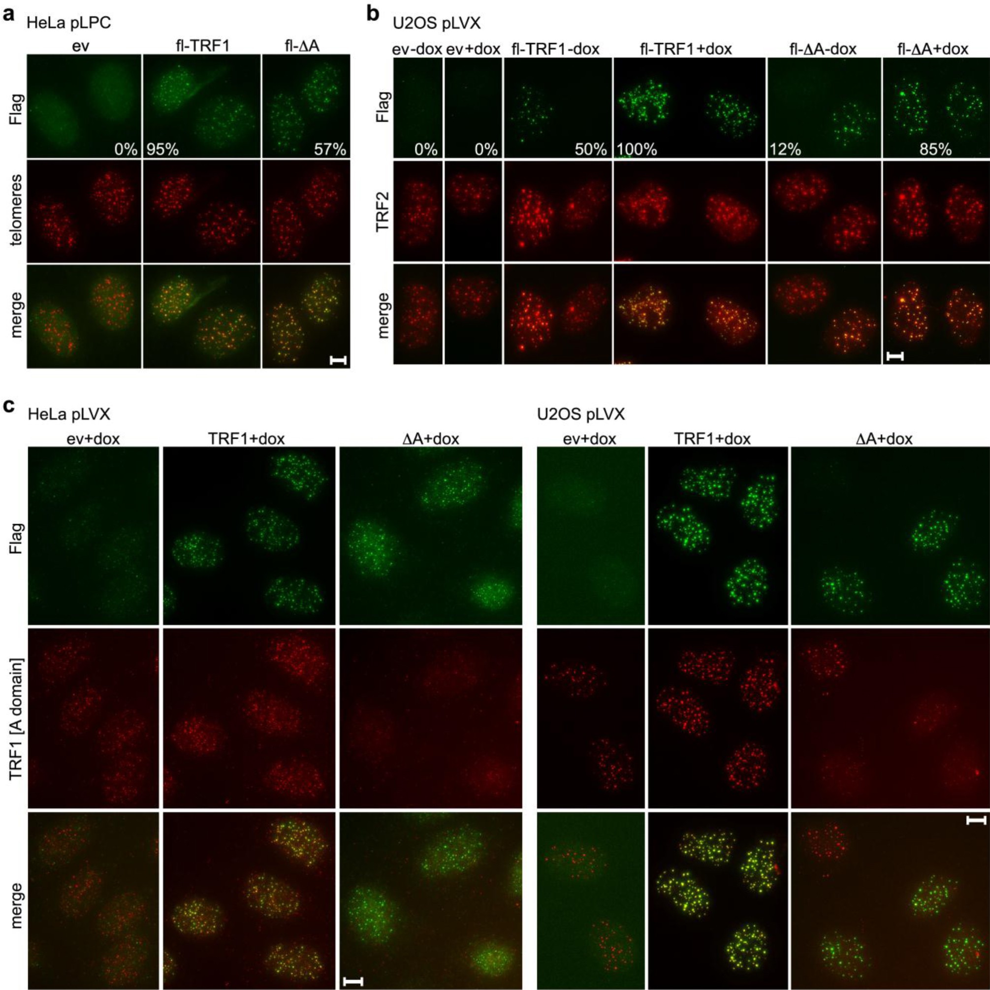 Supplementary Figure 6