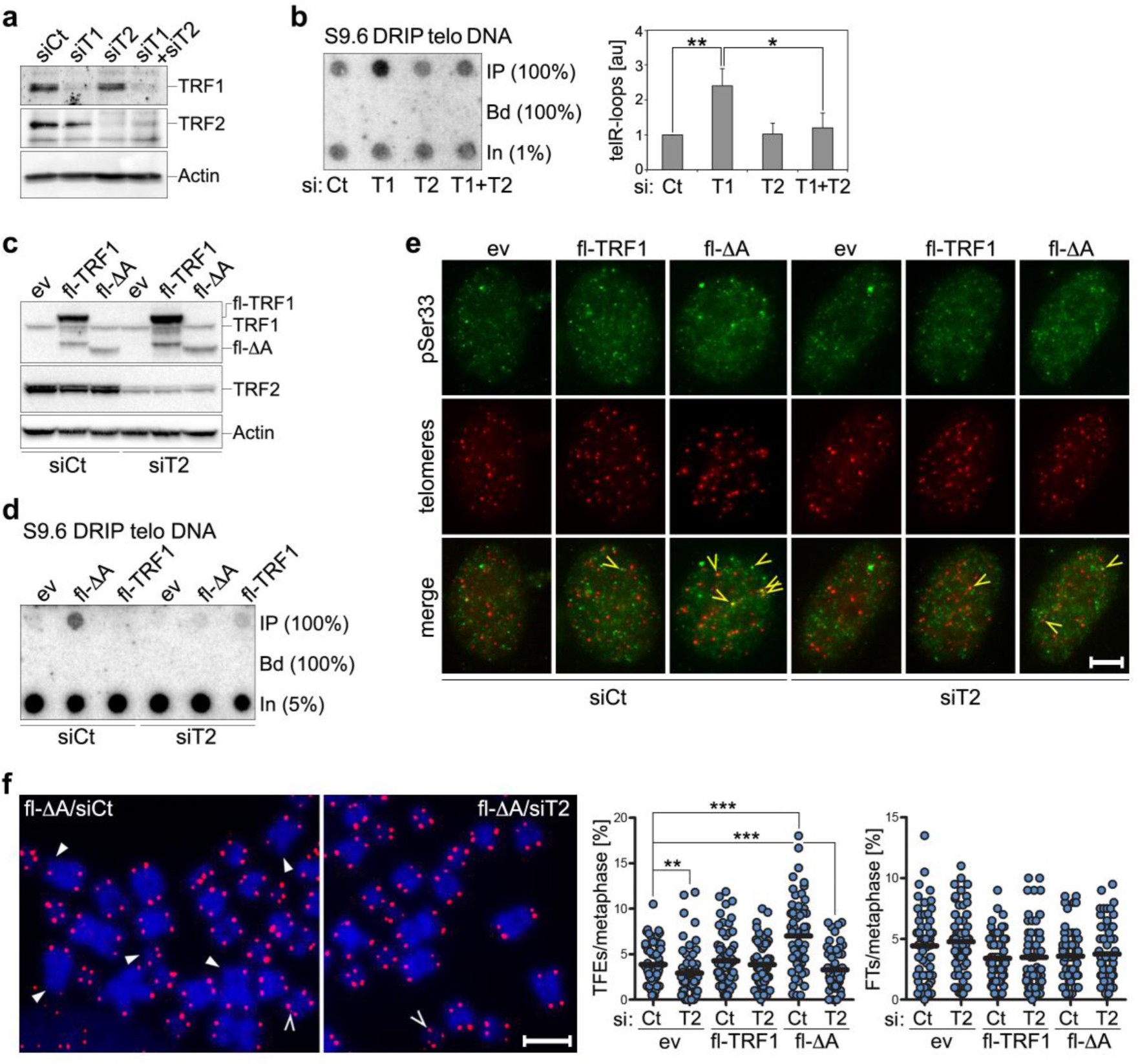 Supplementary Figure 8