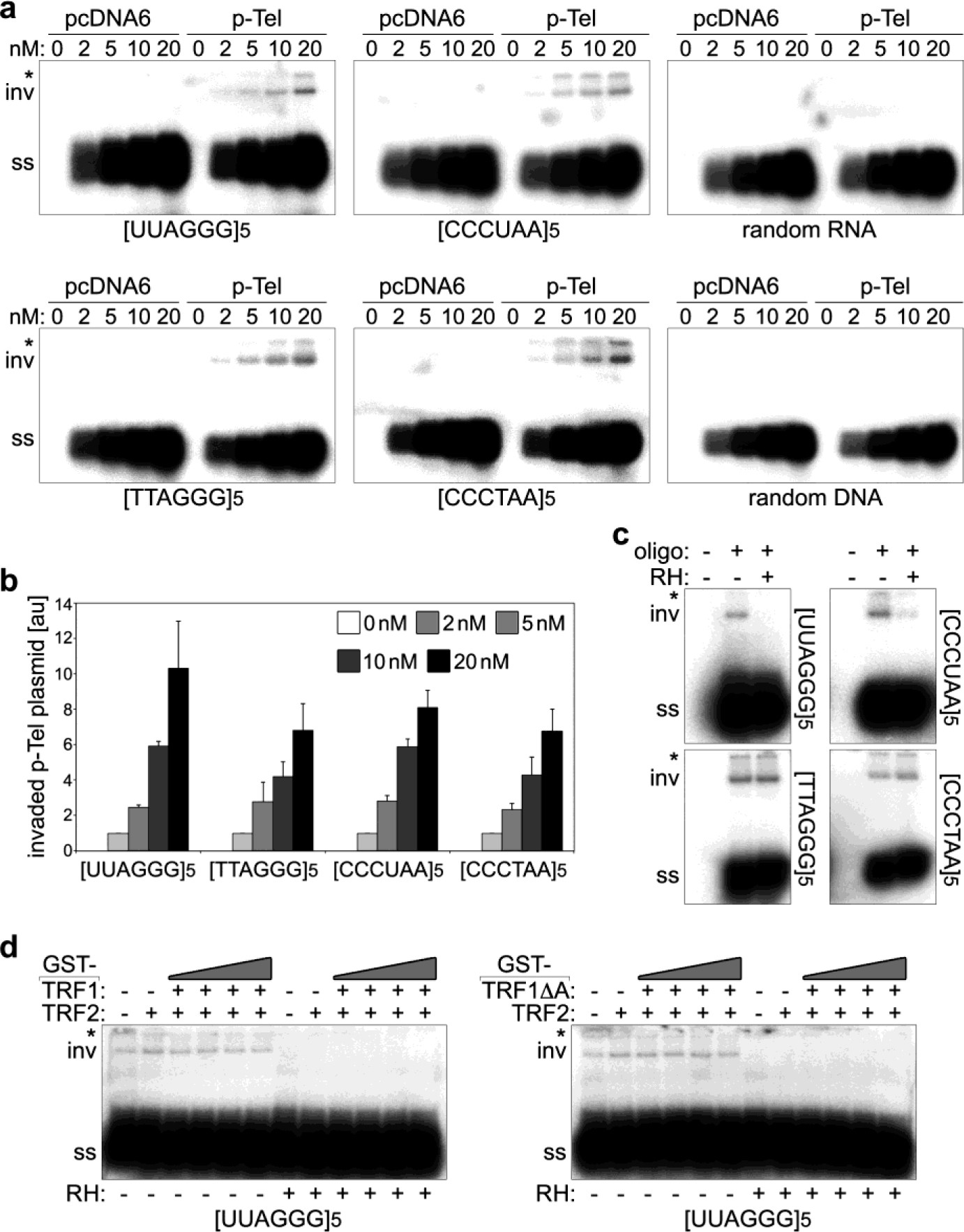 Supplementary Figure 1