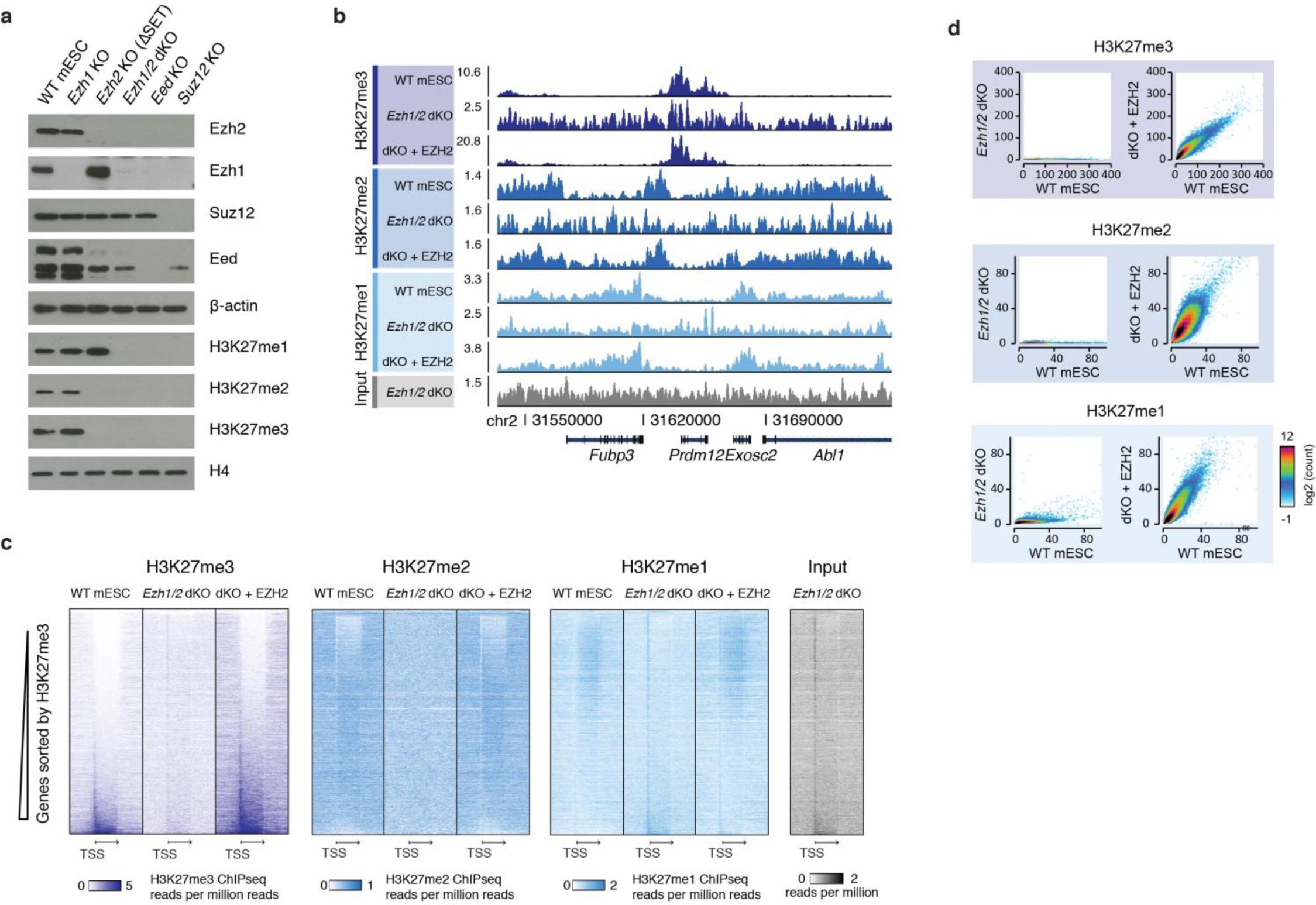 Supplementary Figure 1