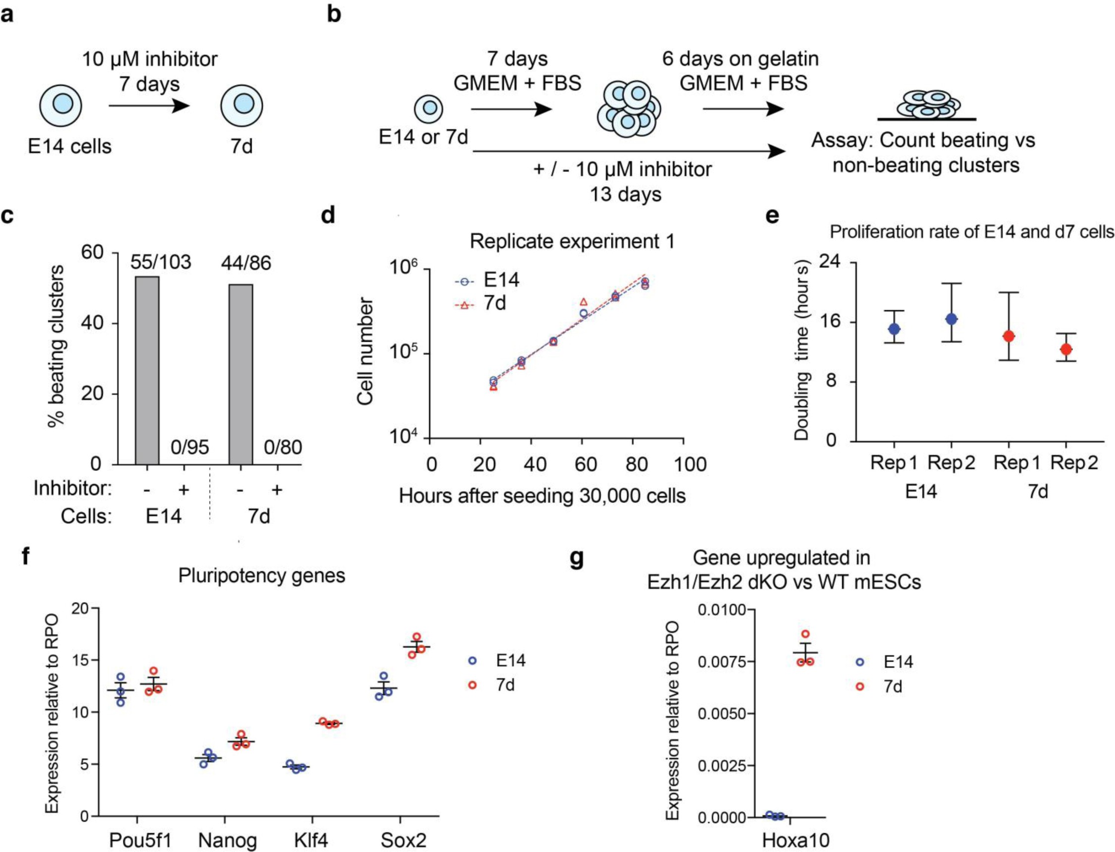 Supplementary Figure 3