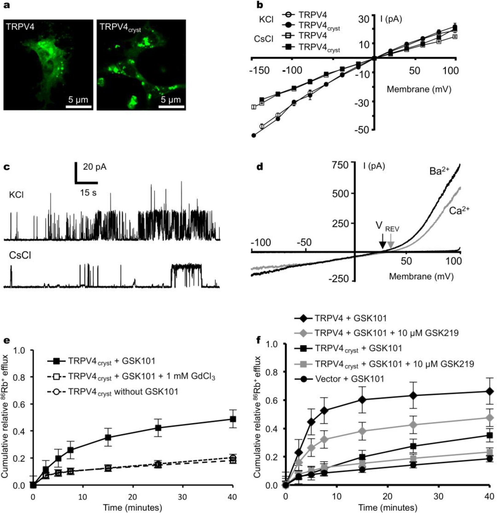 Supplementary Figure 2