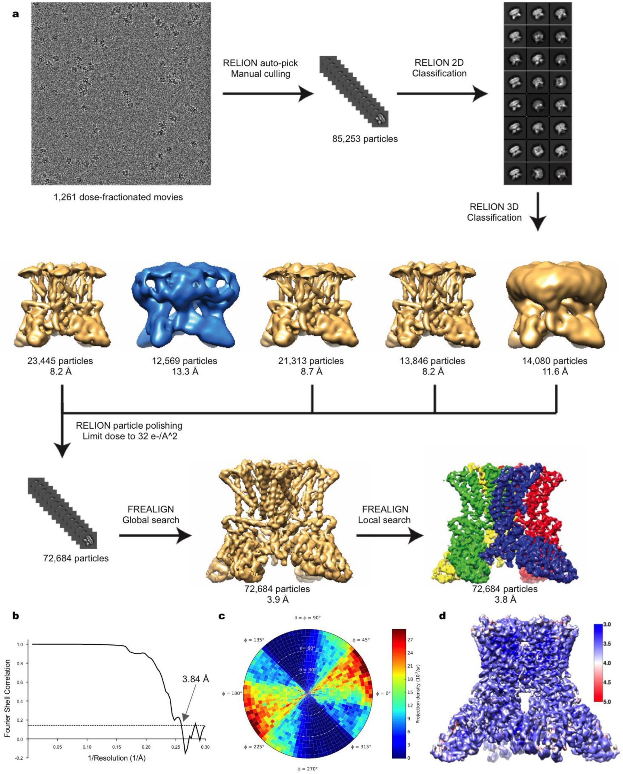 Supplementary Figure 3