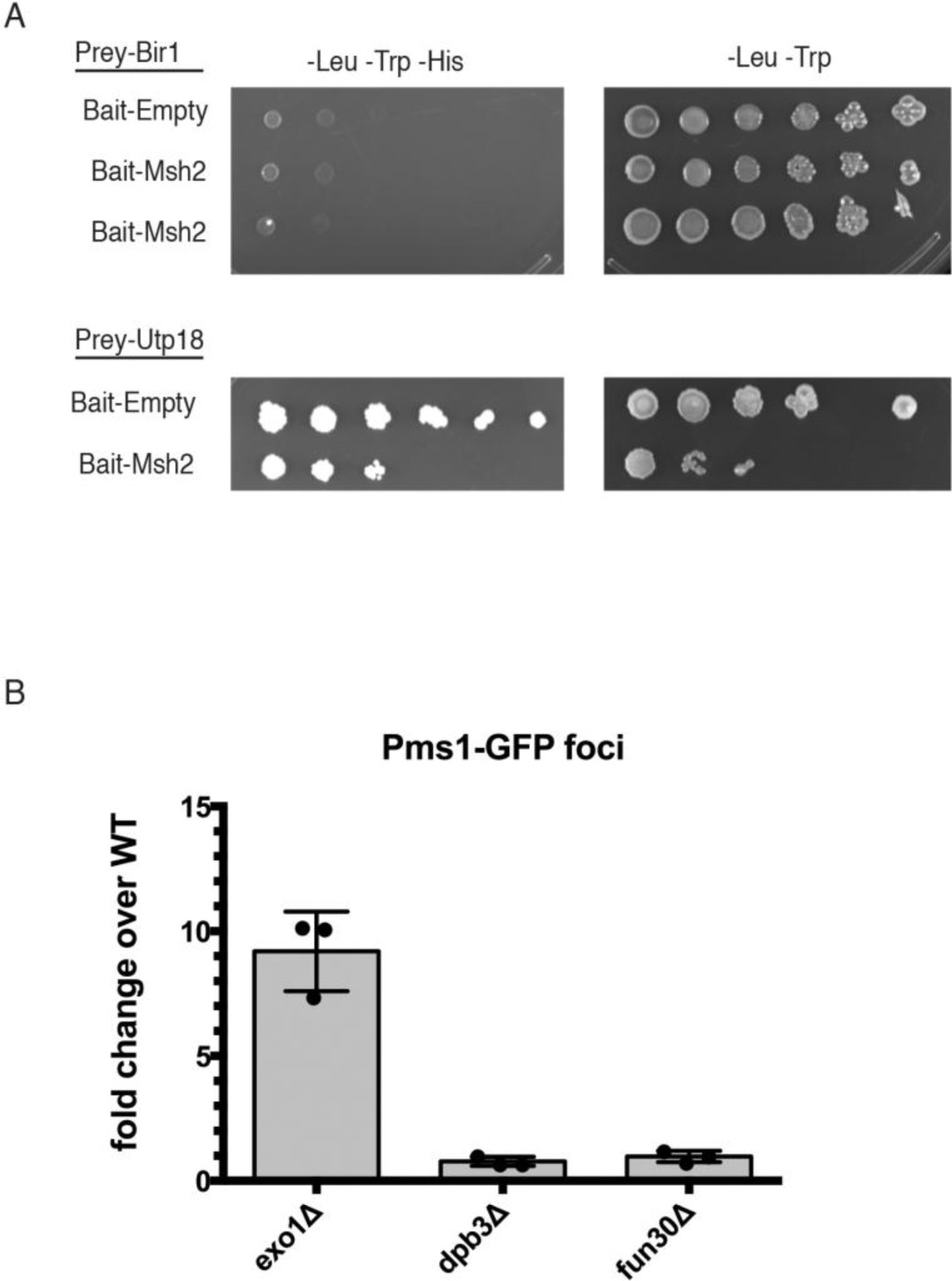 Supplementary Figure 4