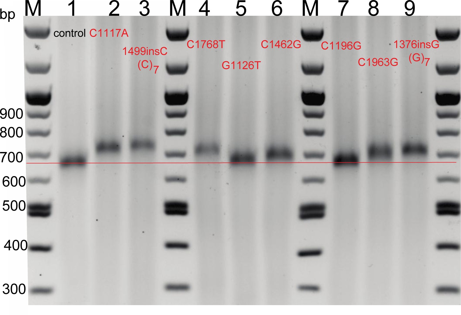 Supplementary Figure 2