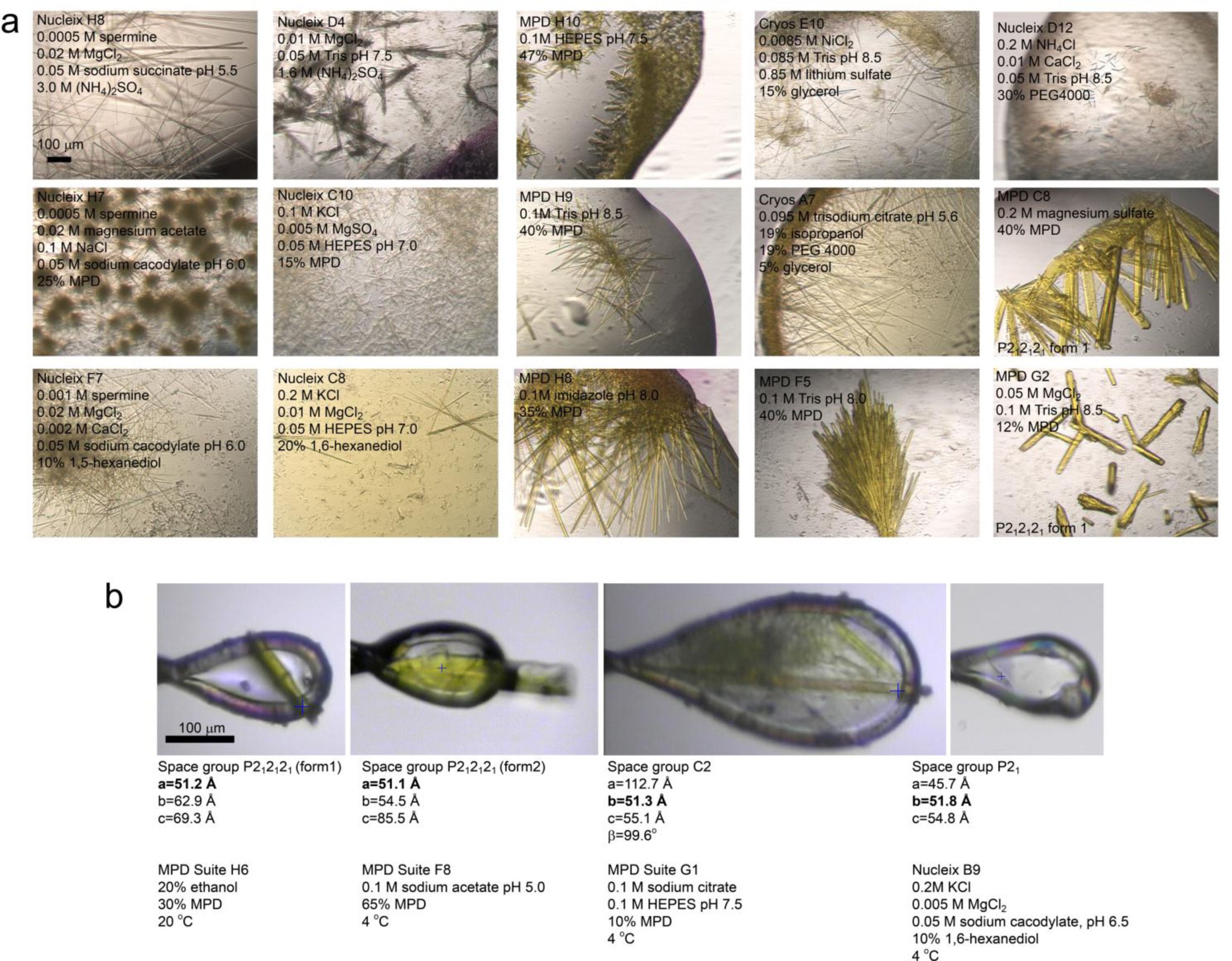 Supplementary Figure 2