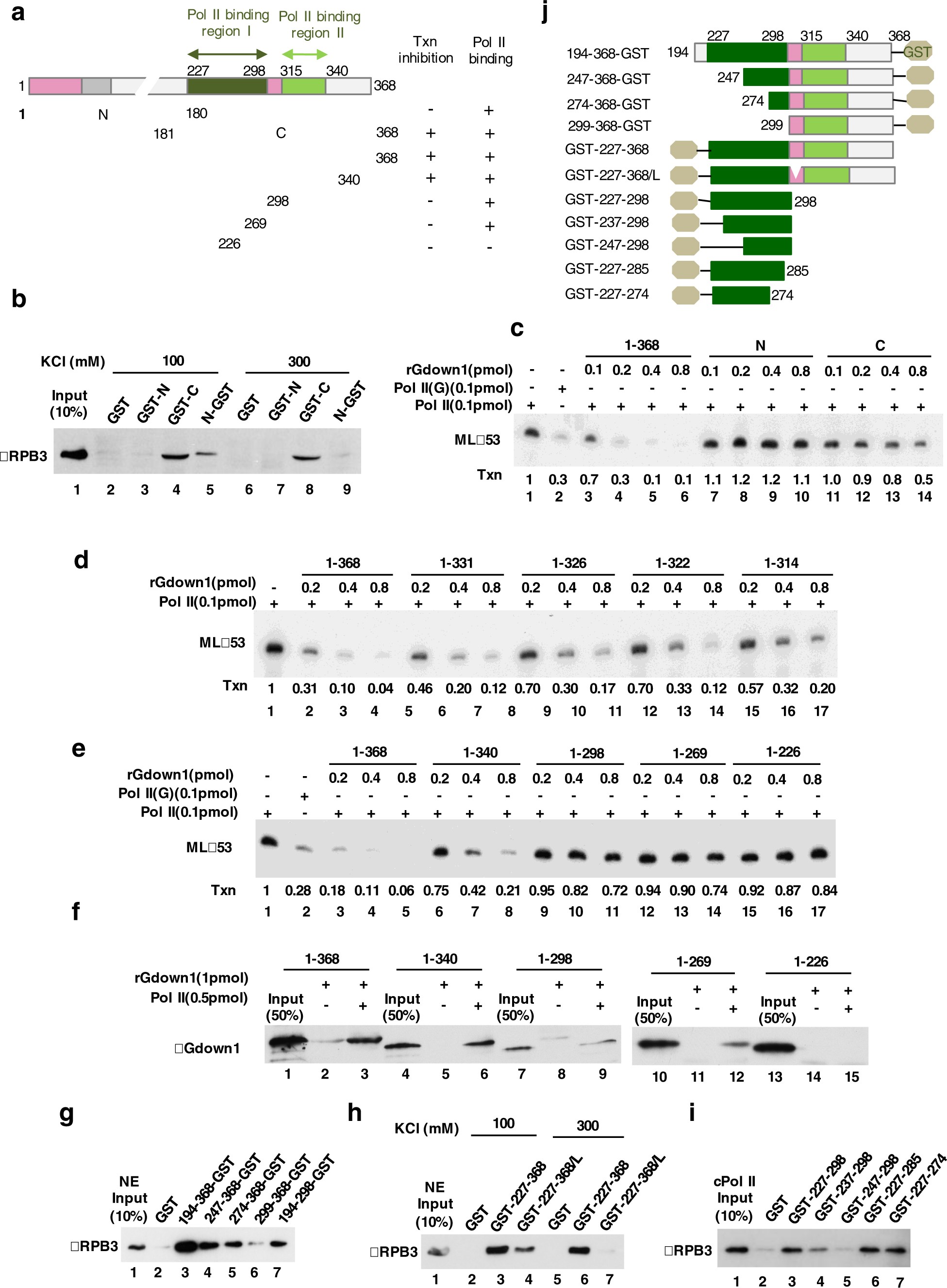 Supplementary Figure 3
