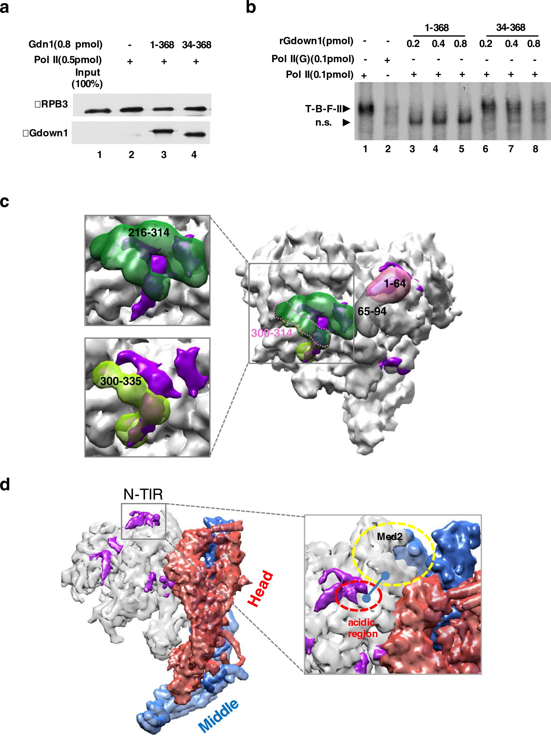 Supplementary Figure 4