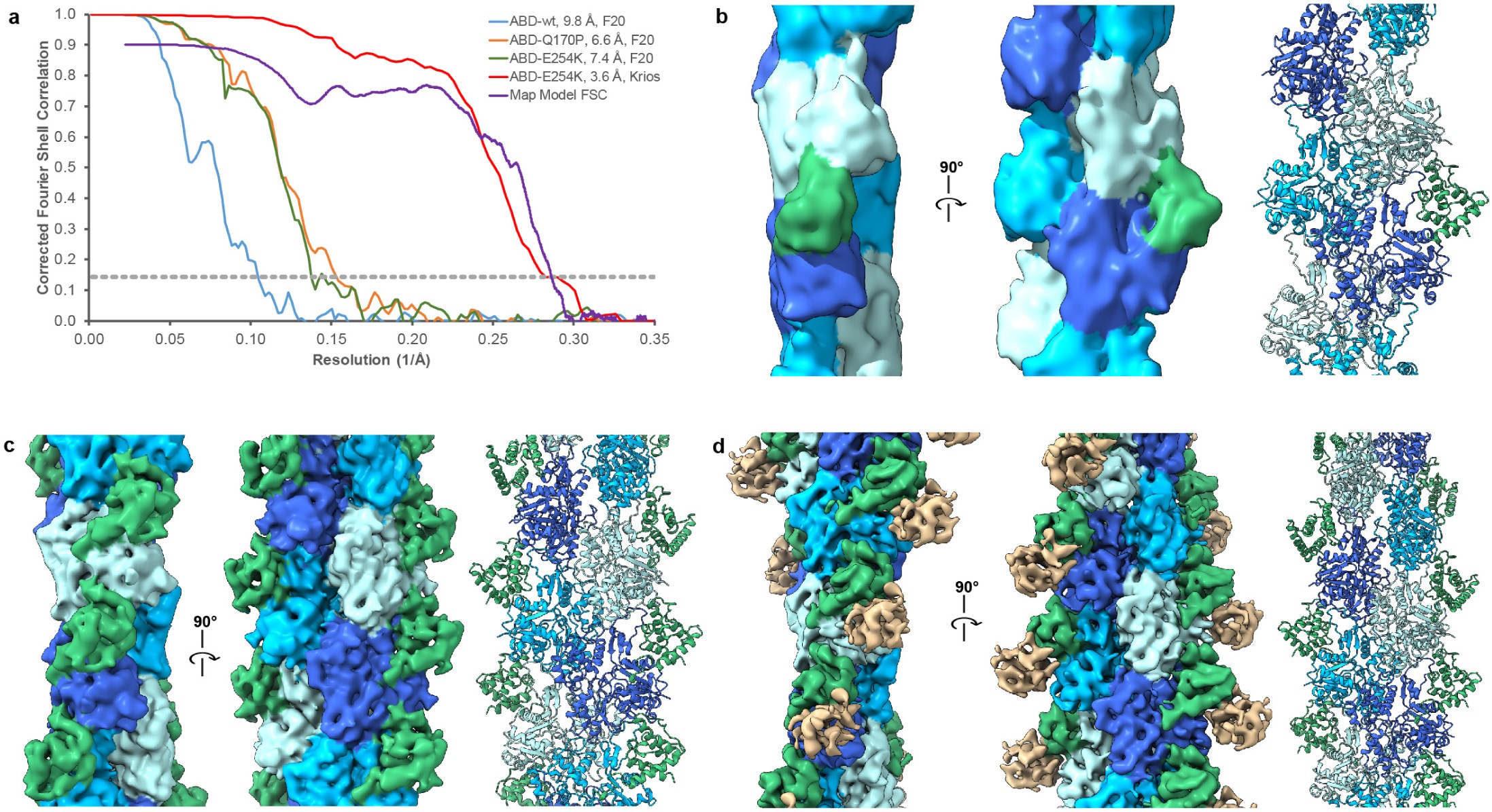 Supplementary Figure 1