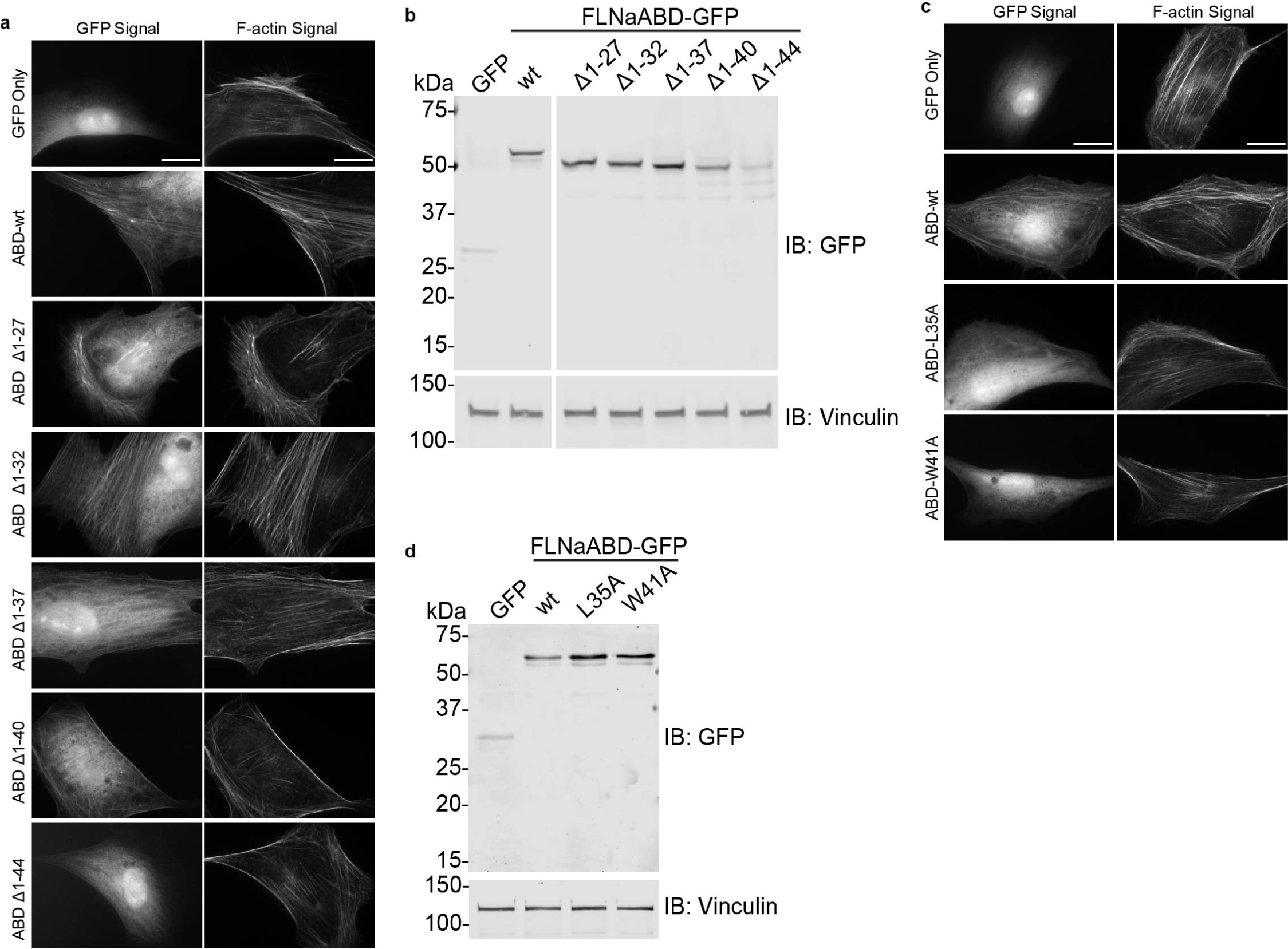 Supplementary Figure 2