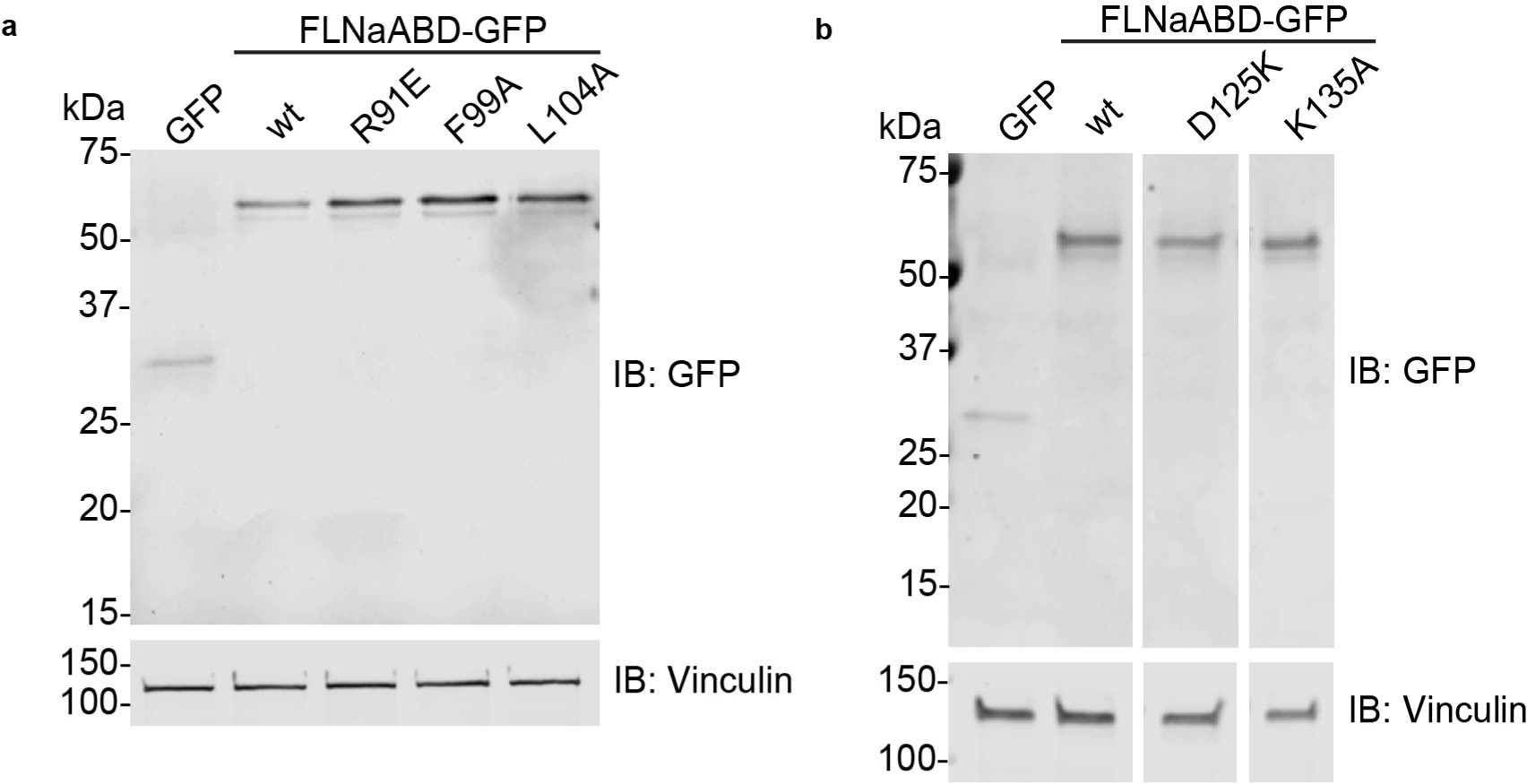 Supplementary Figure 3