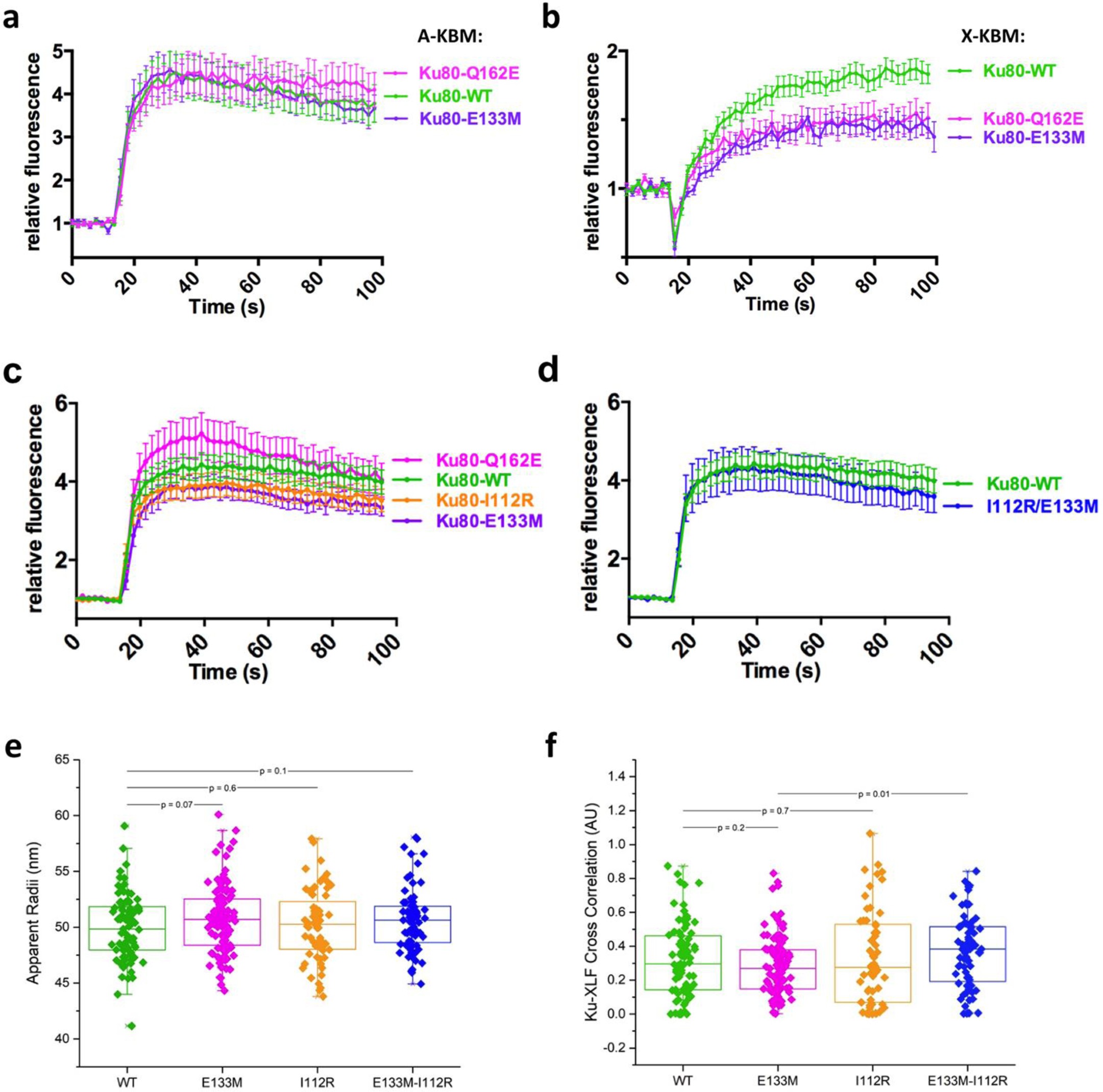 Supplementary Figure 6: Life cell imaging, super resolution and DNA repair assays data.