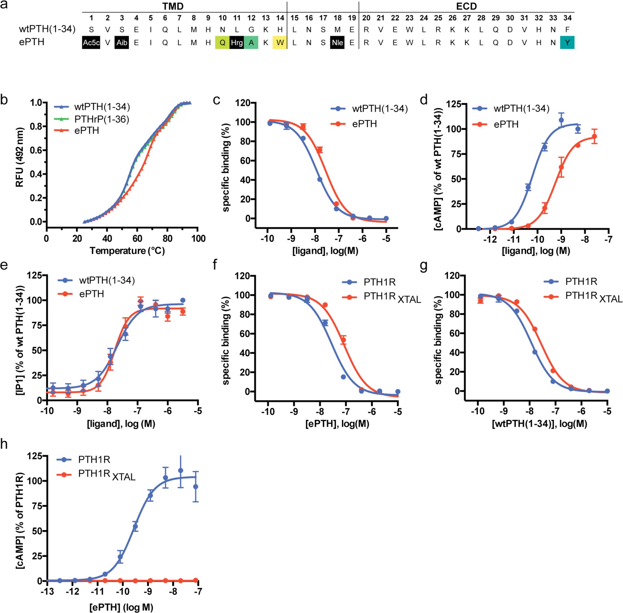Supplementary Figure 2: Comparison of PTH peptide sequences and in vitro pharmacology of ligands and receptor constructs.