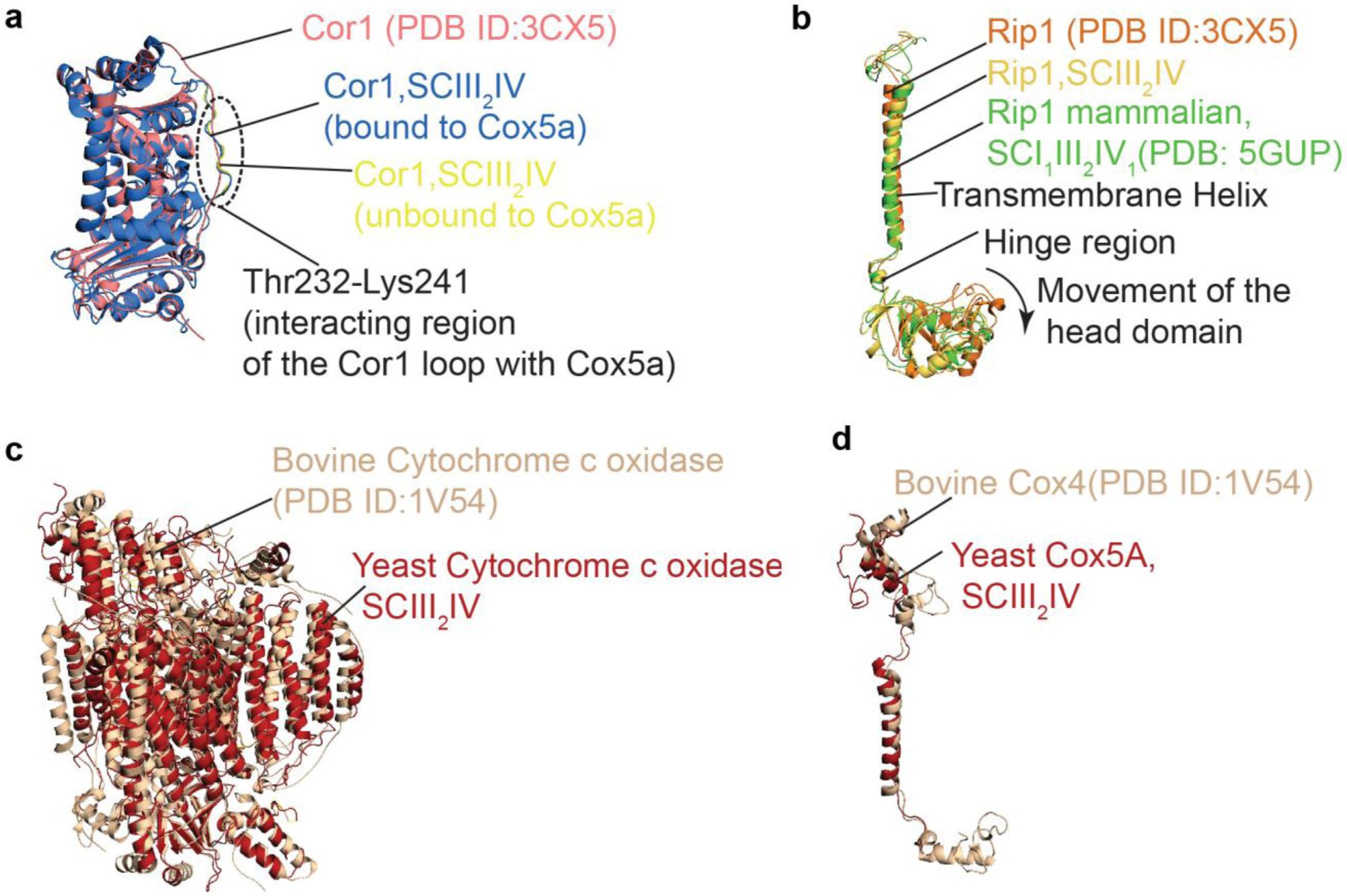 Supplementary Figure 3