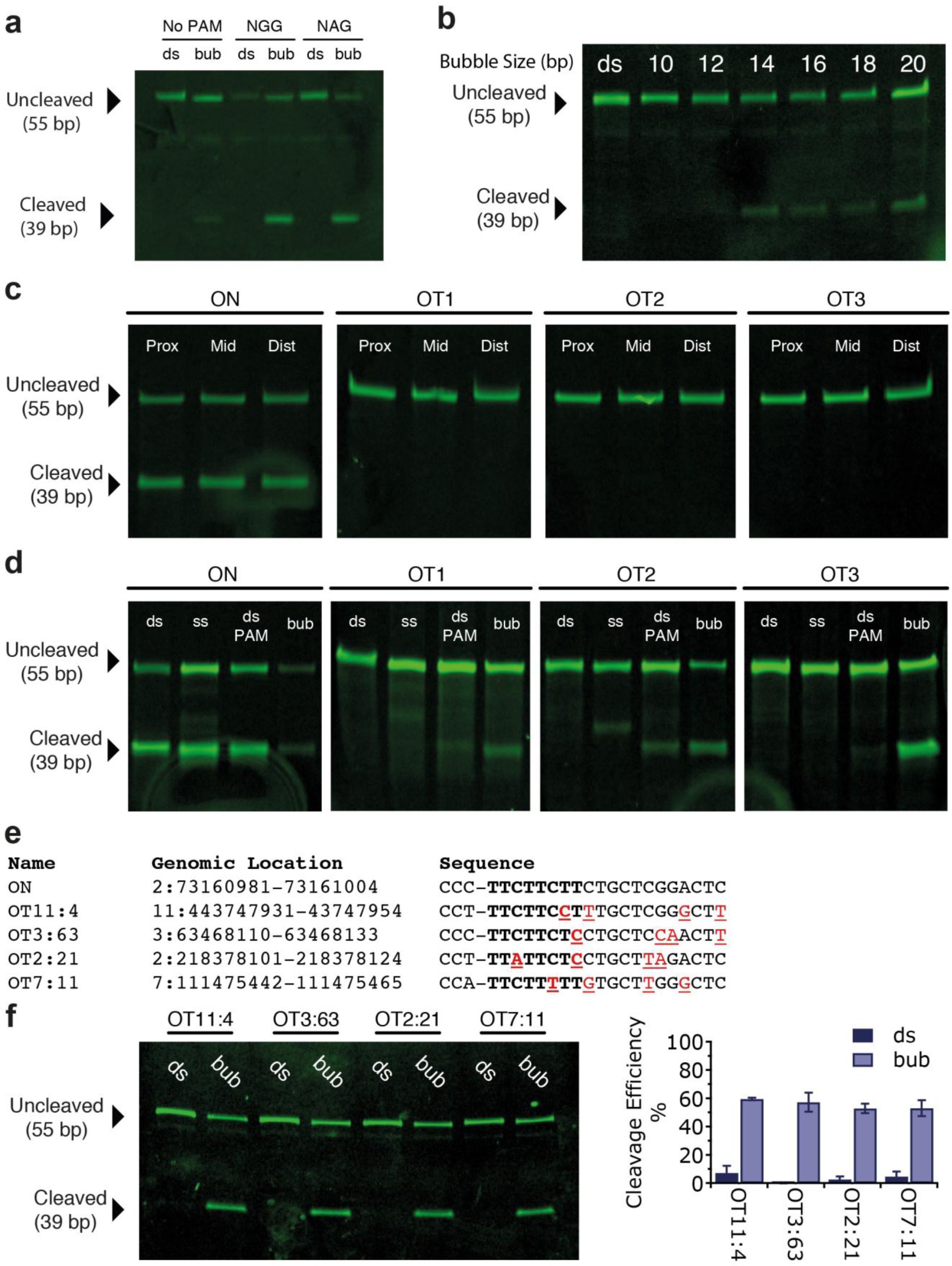 Supplementary Figure 6: Bulk cleavage assays with various bubble sizes and location, and bona fide cellular EMX1-1 off-targets.