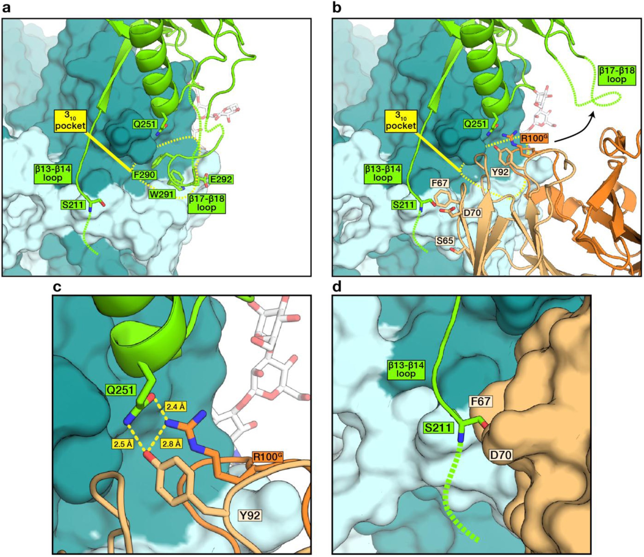 Supplementary Figure 1