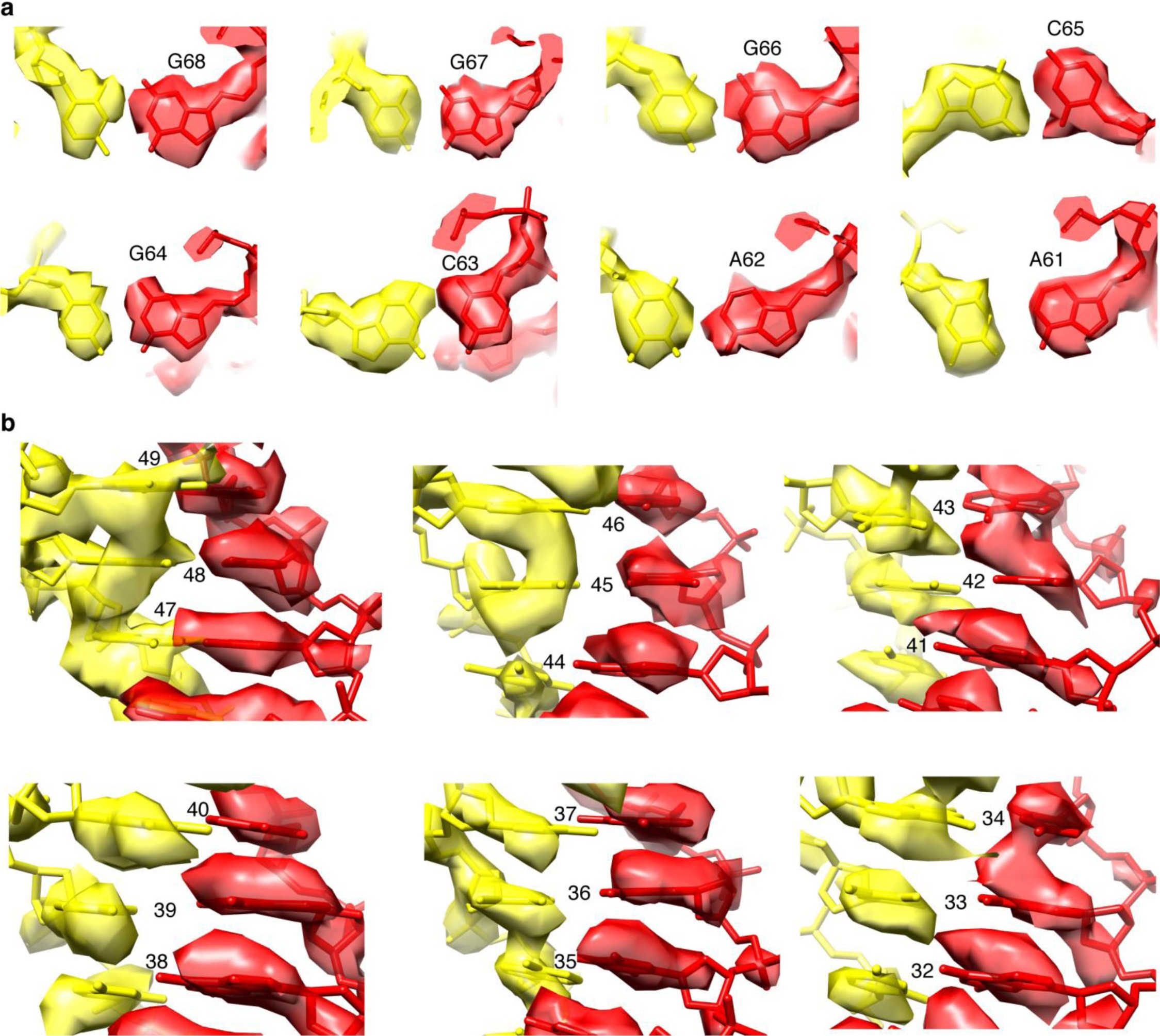 Supplementary Figure 6