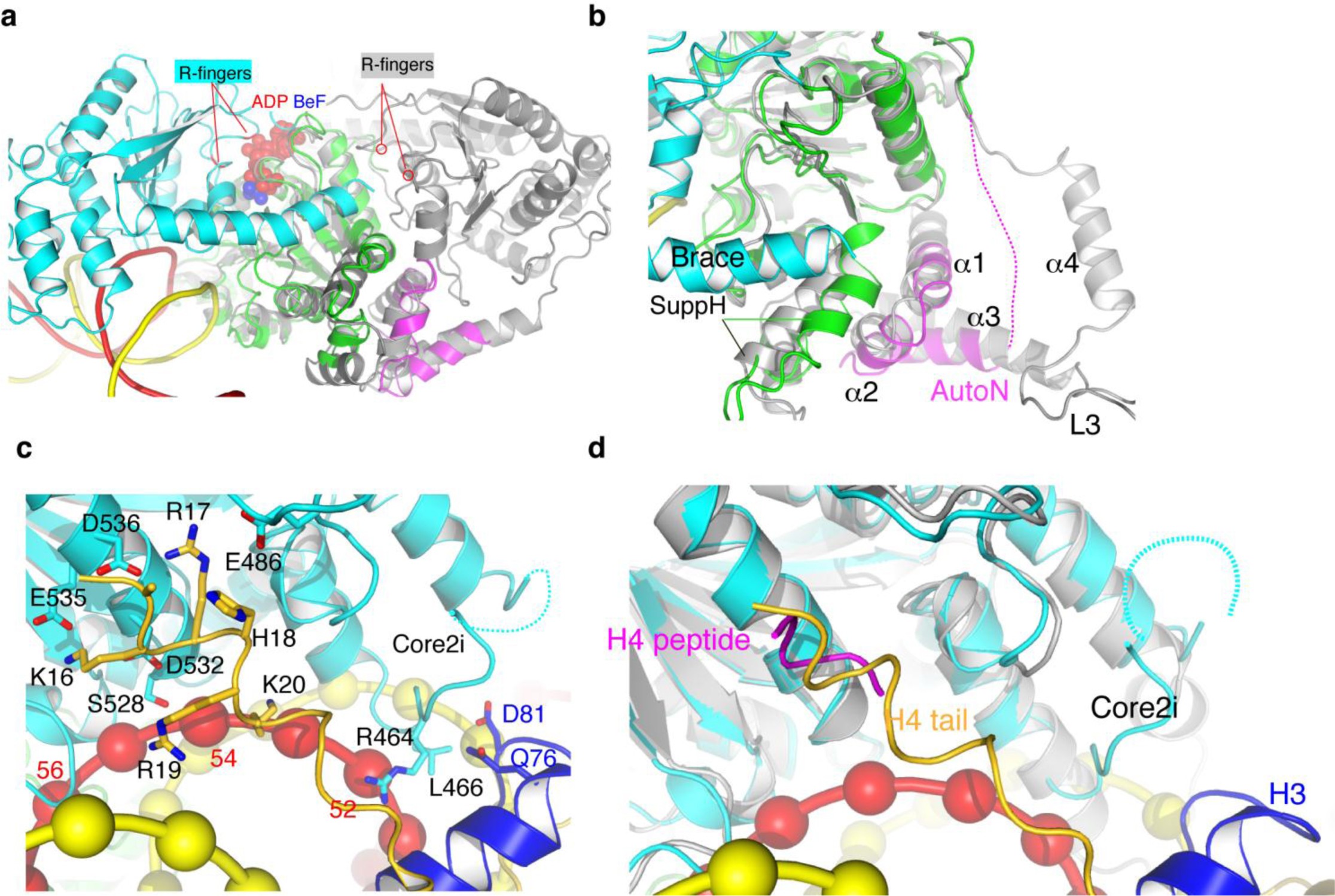 Supplementary Figure 7