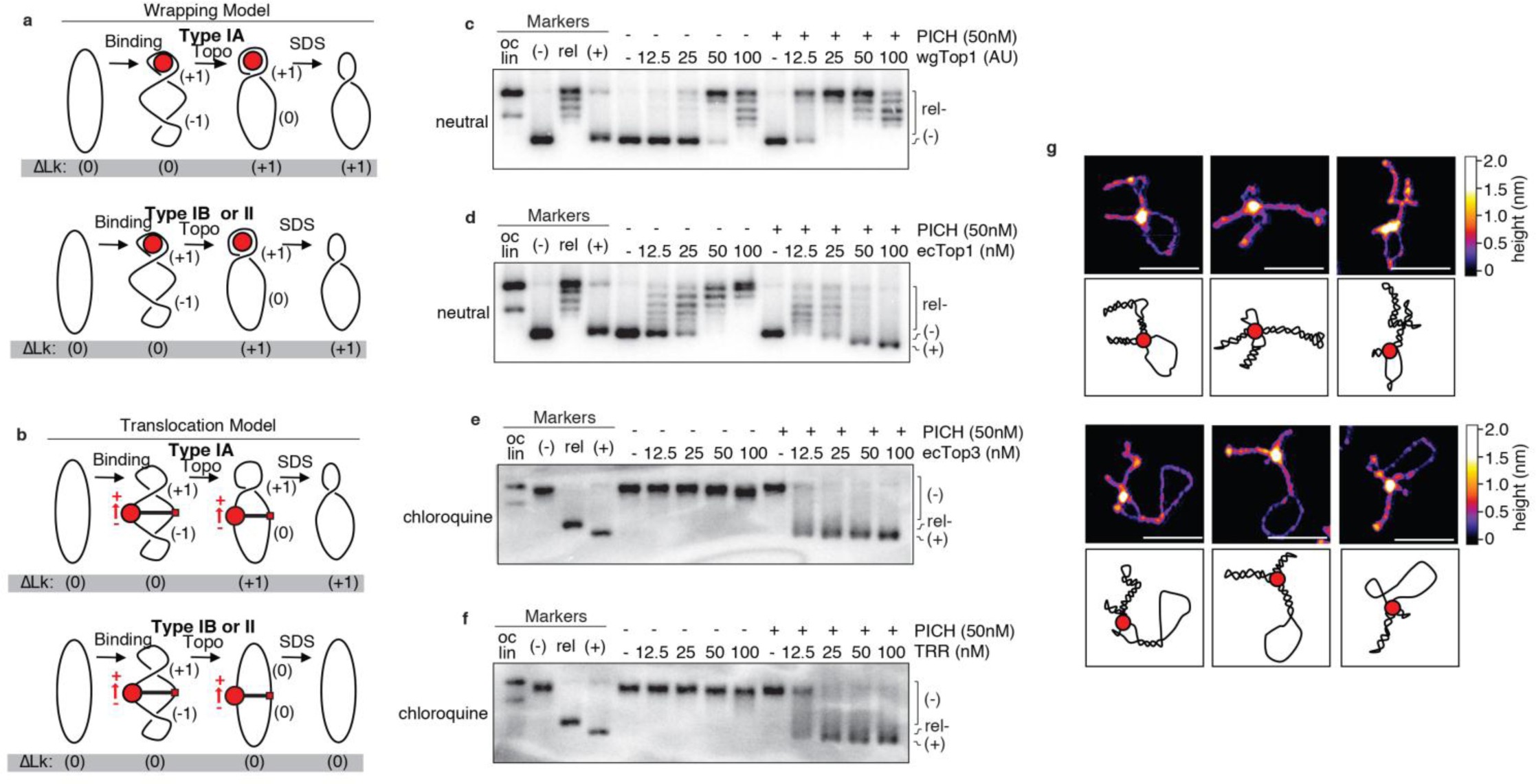 Supplementary Figure 3