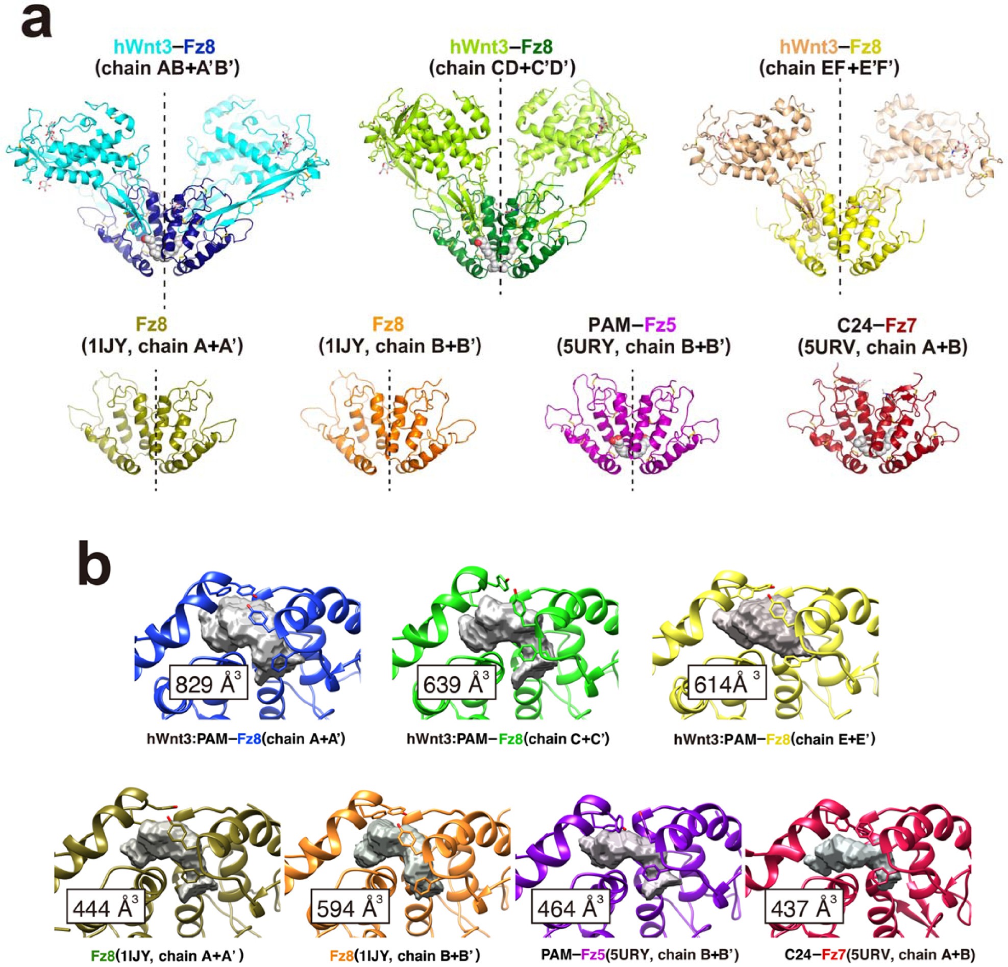 Supplementary Figure 2: Fz–Fz dimer formation.