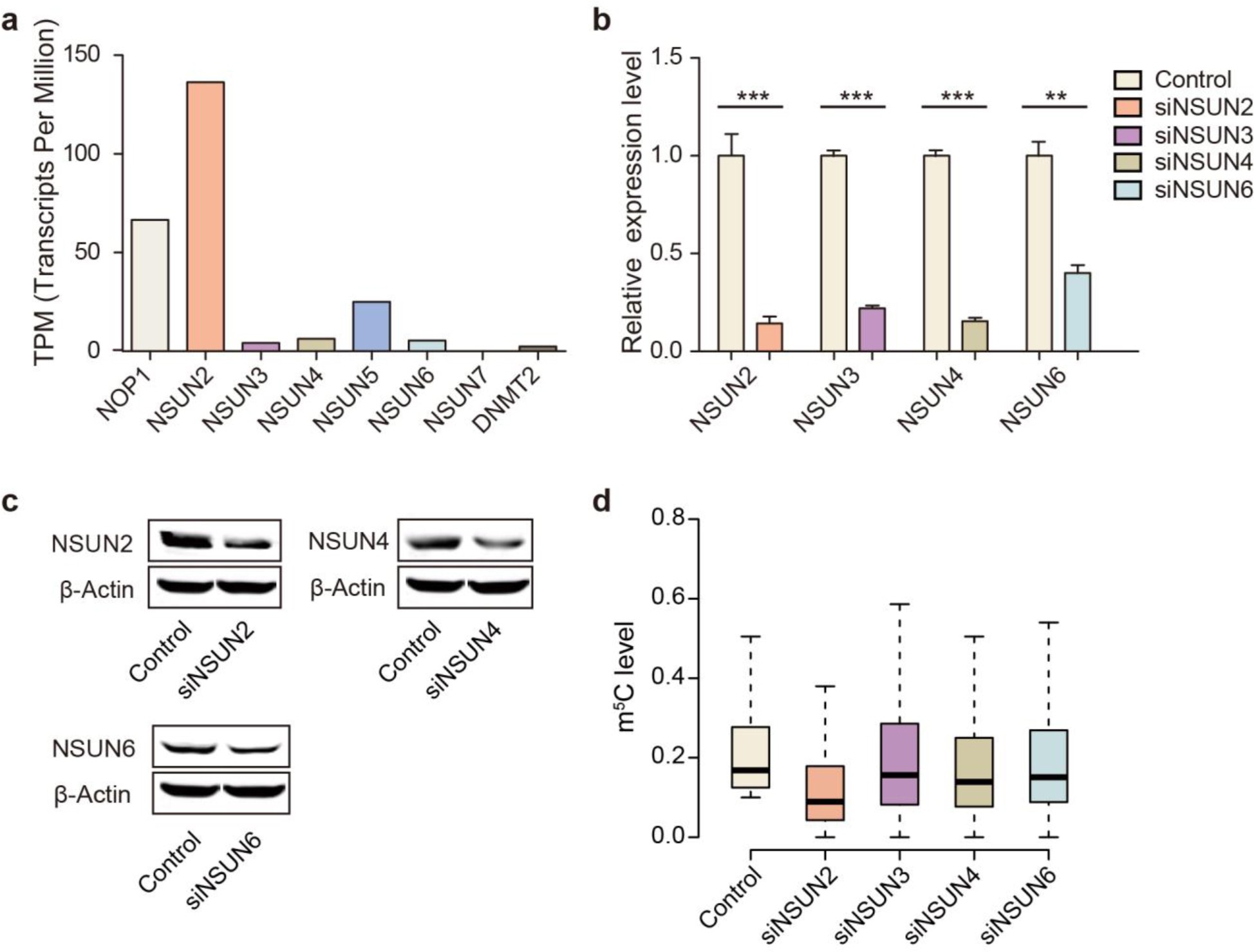 Supplementary Fig. 5