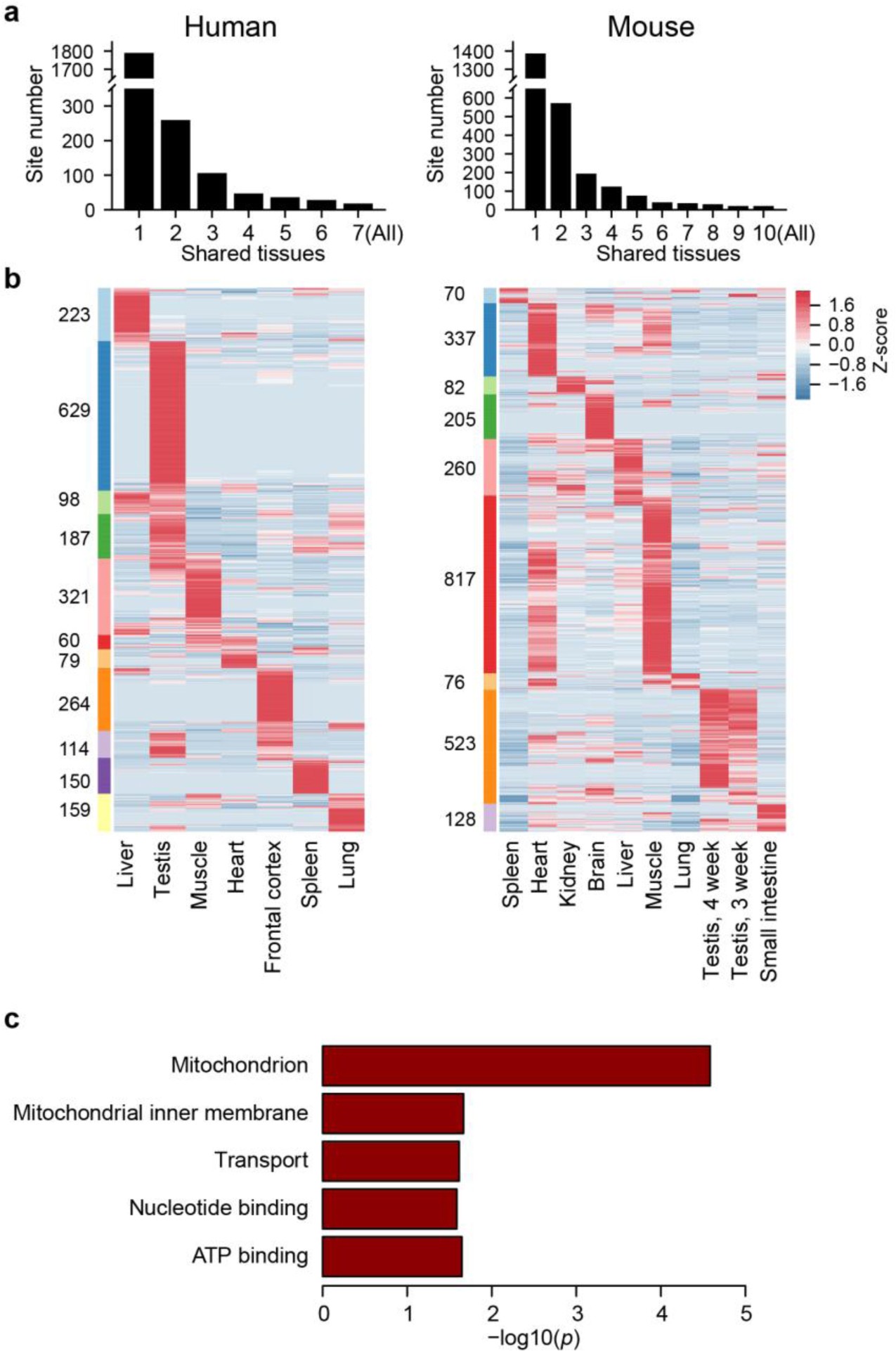 Supplementary Fig. 10