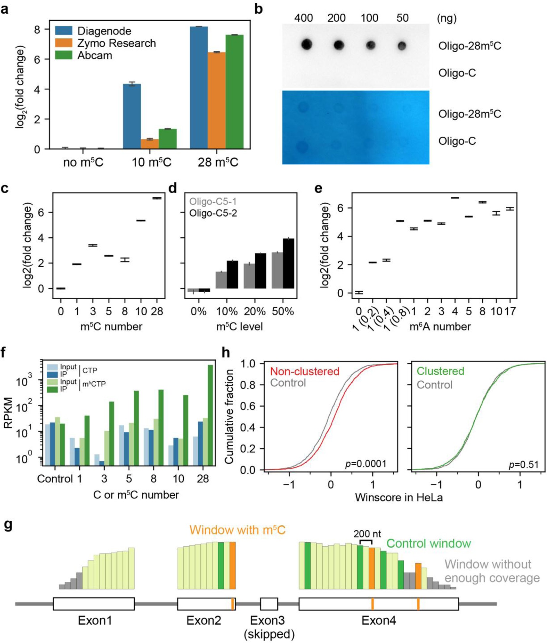 Supplementary Fig. 3