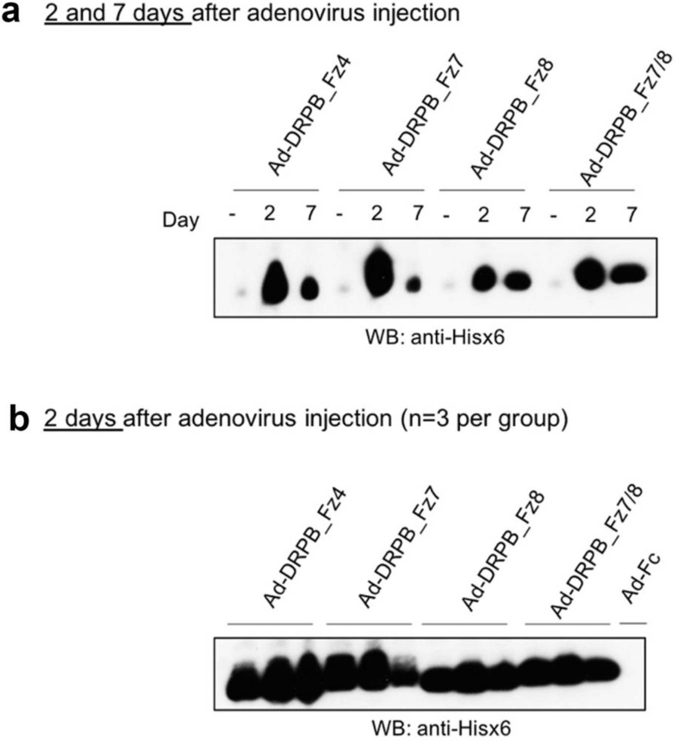 Supplementary Fig. 8