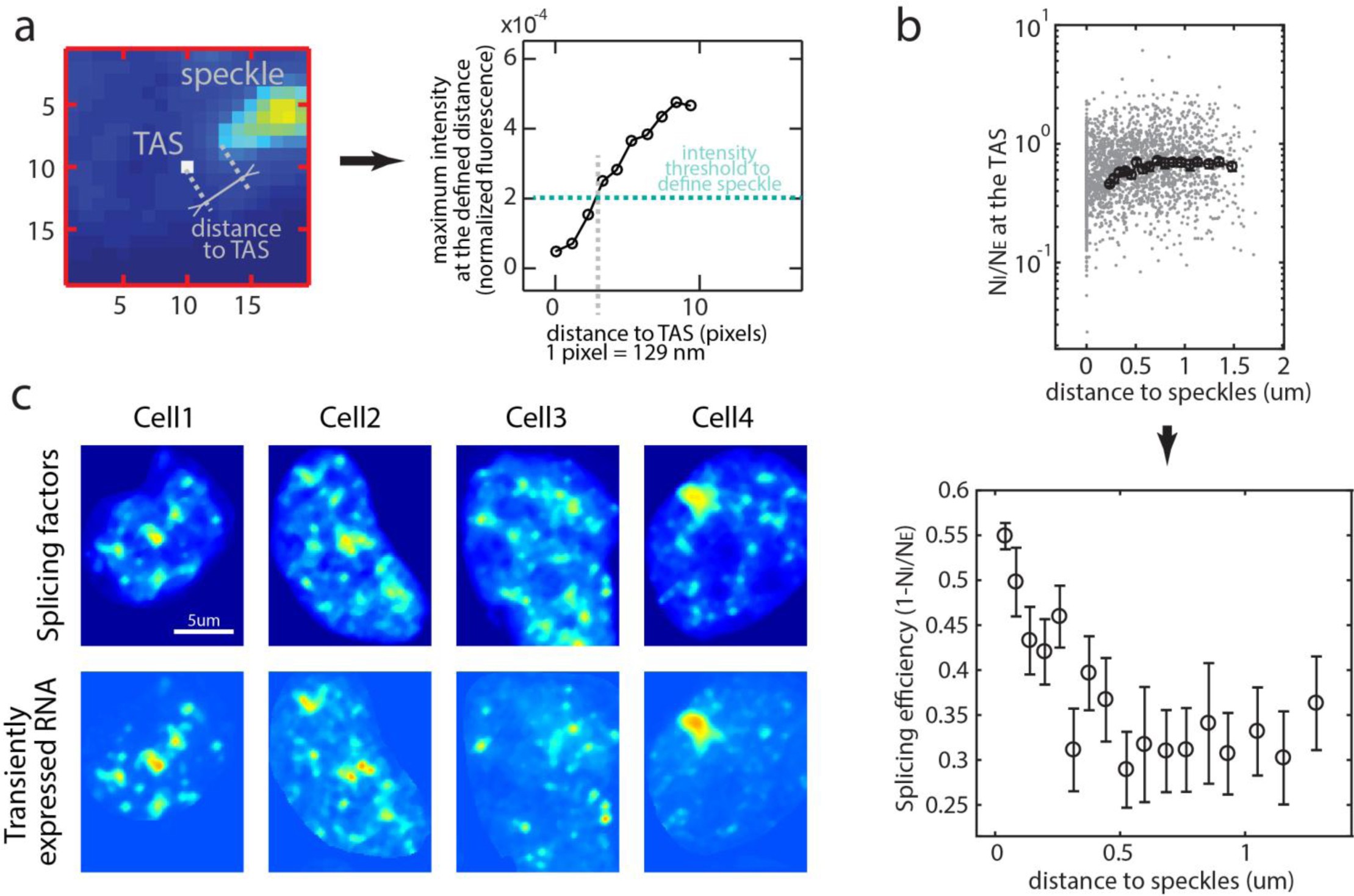 Supplementary Figure 5