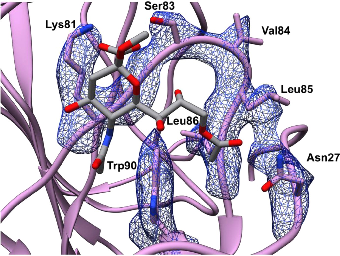 Supplementary Figure 3: Zoomed-in view of the sialoglycan-binding site in the holo-HCoV-OC43 S glycoprotein structure.