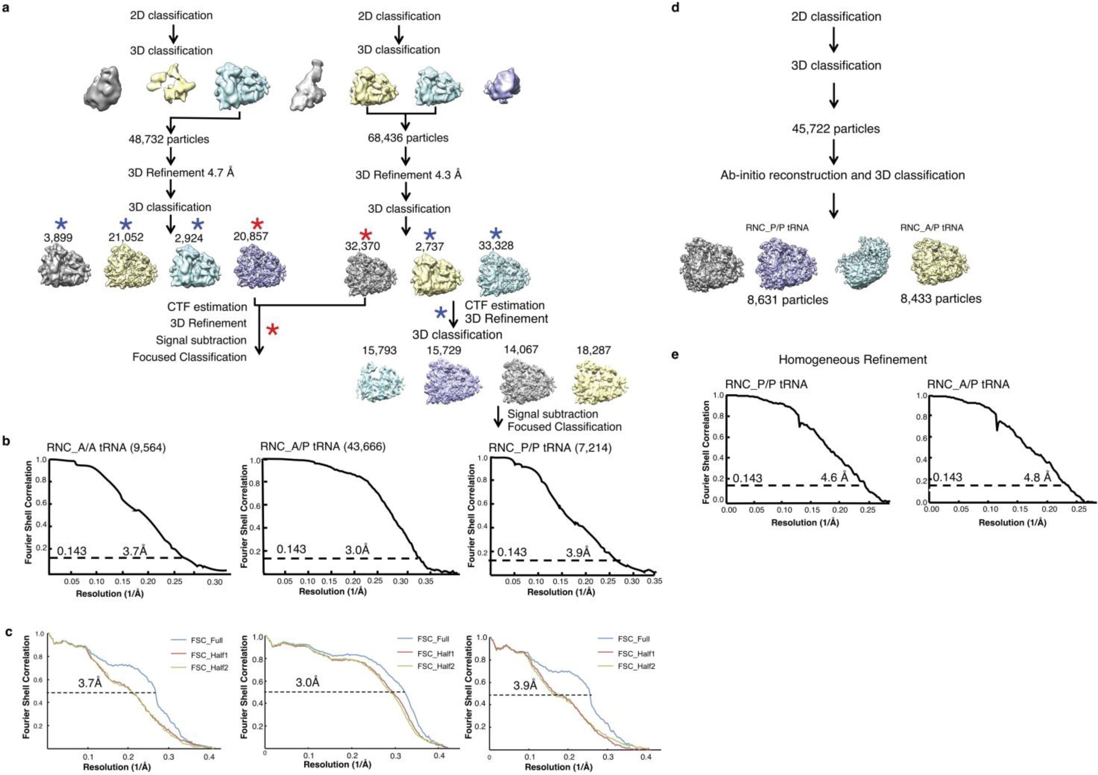 Supplementary Fig. 3: Cryo-EM data processing of PF846 stalled PCSK9-RNCs.