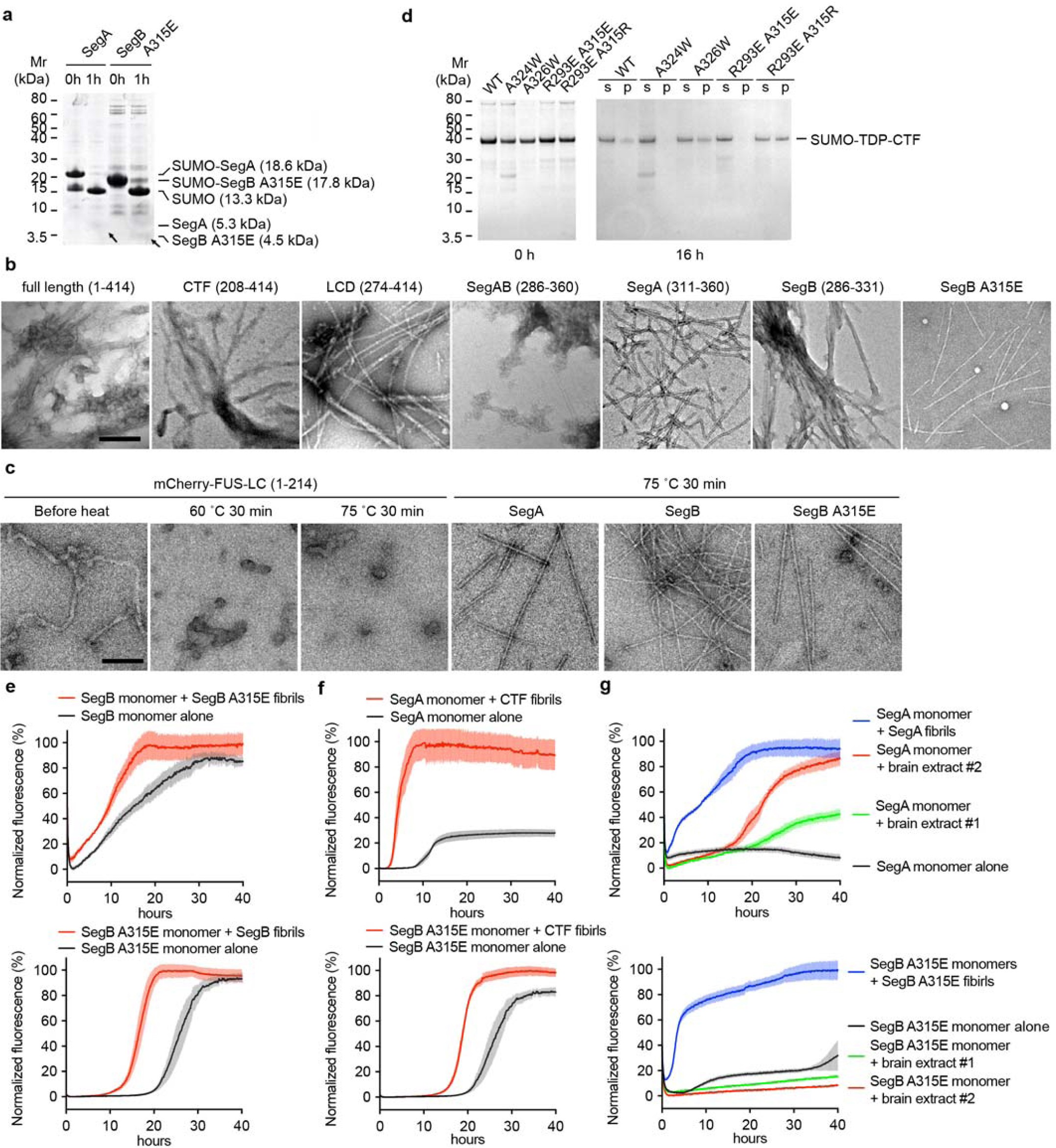 Supplementary Figure 1