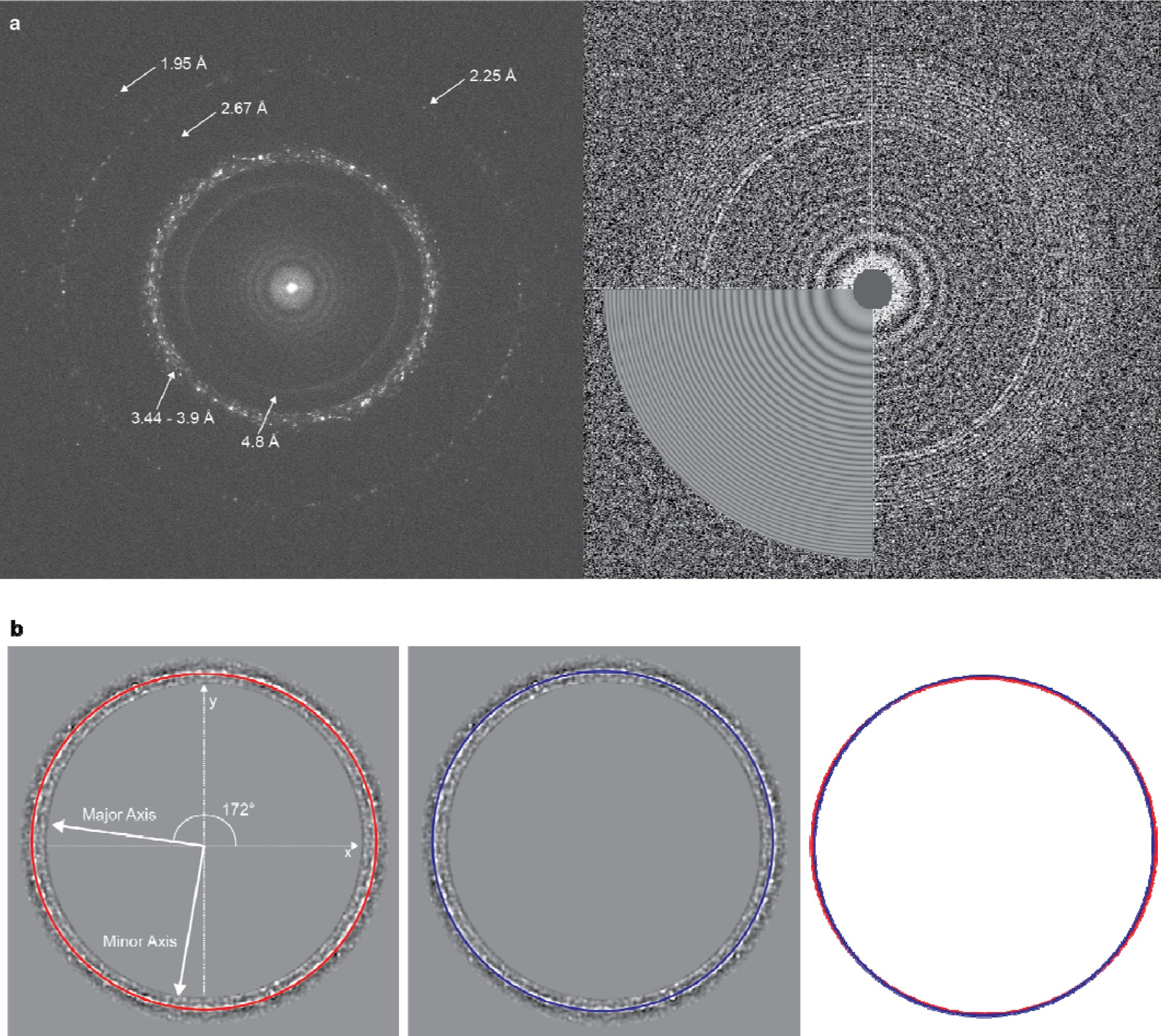 Supplementary Figure 2