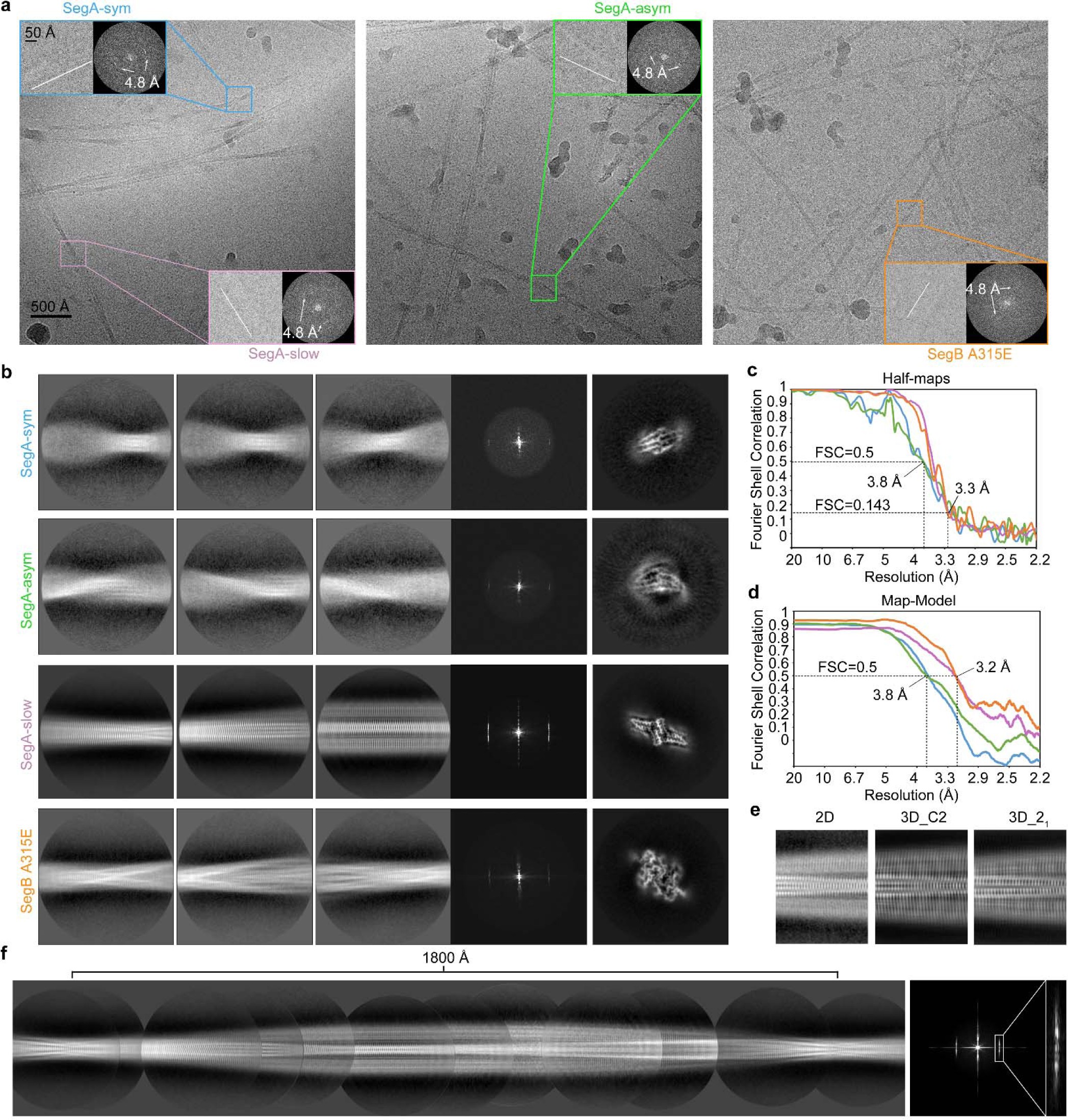 Supplementary Figure 3