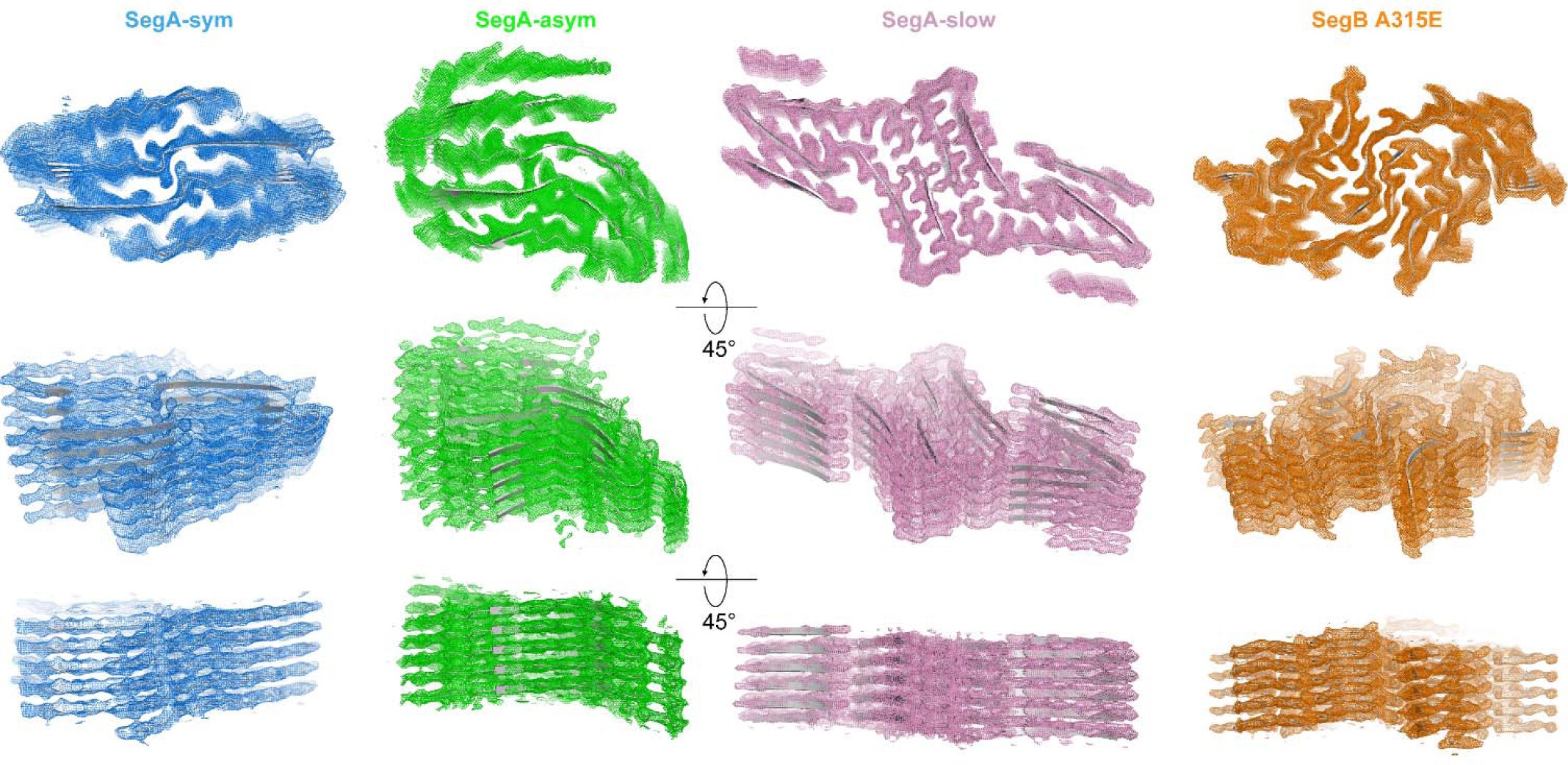 Supplementary Figure 4